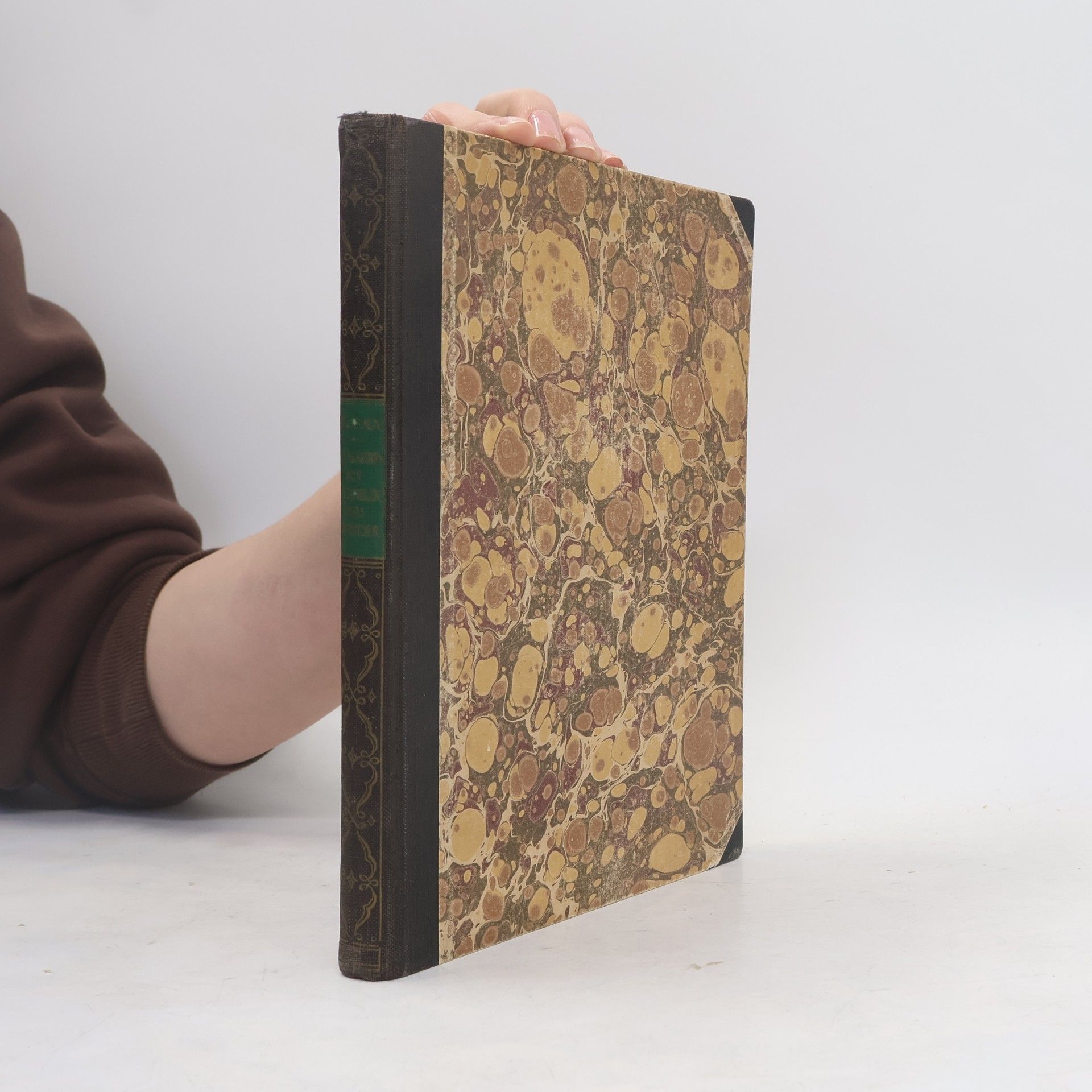 Franz Maria Feldhaus Leonardo, der Techniker und Erfinder