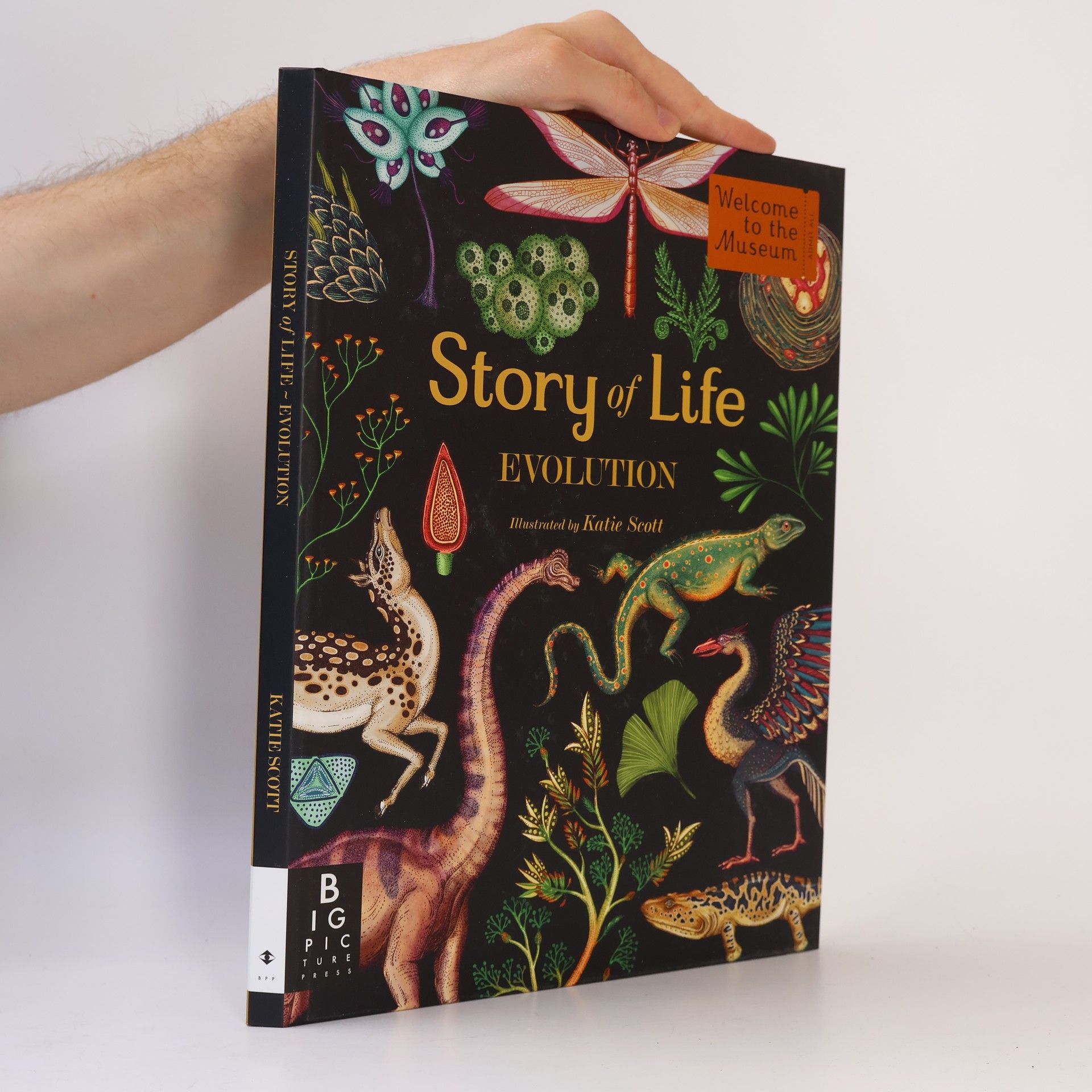 Kolektiv autorů Story of Life: Evolution