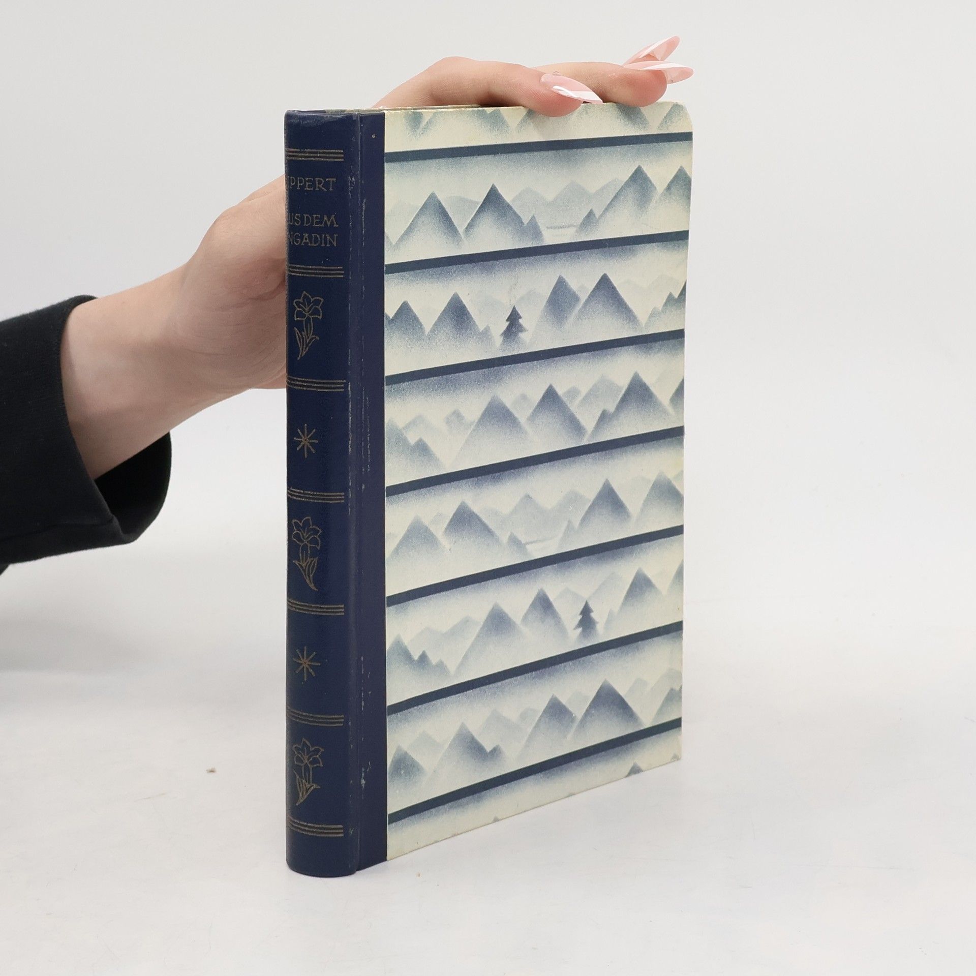 Peter Lippert Aus dem Engadin