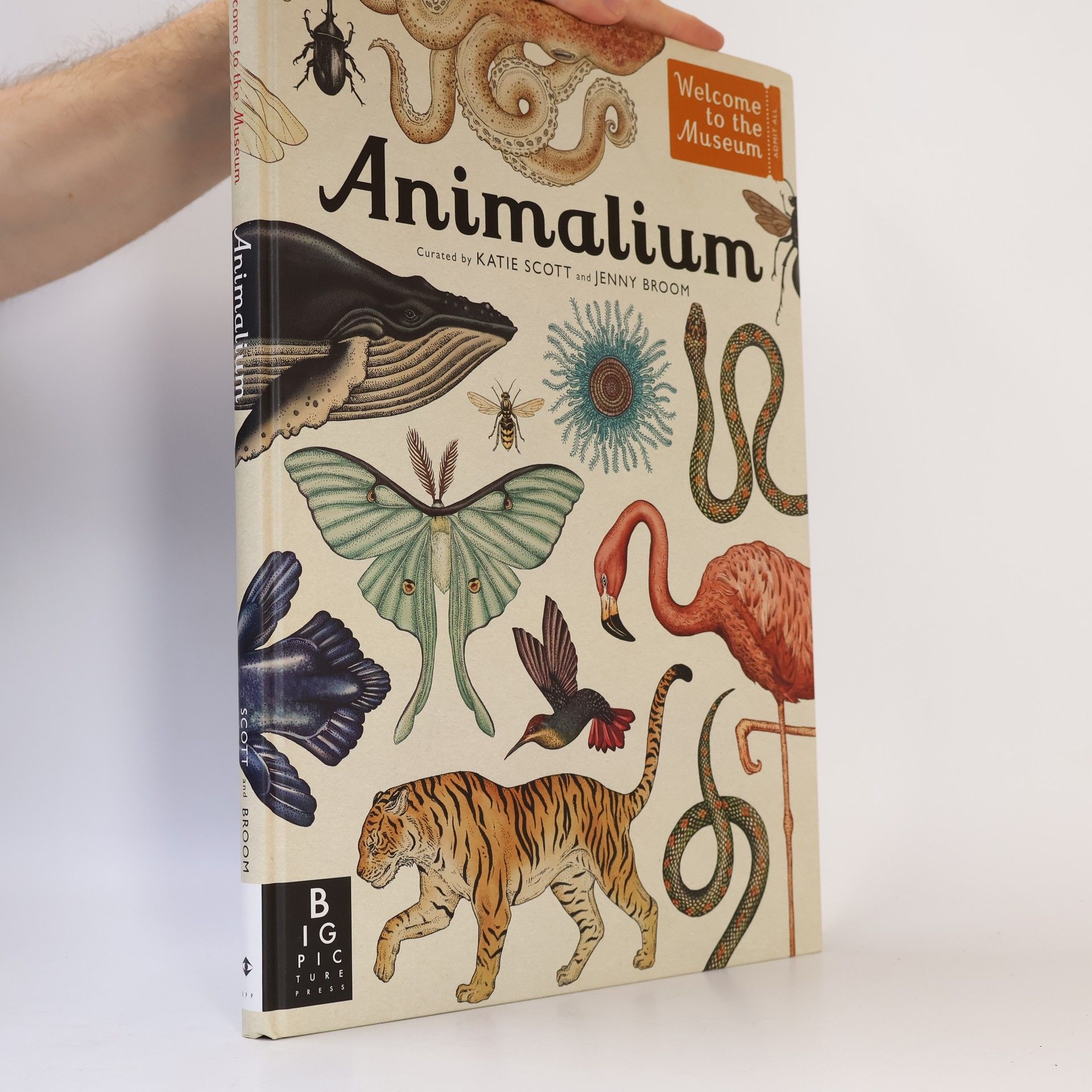Jenny Broom Animalium