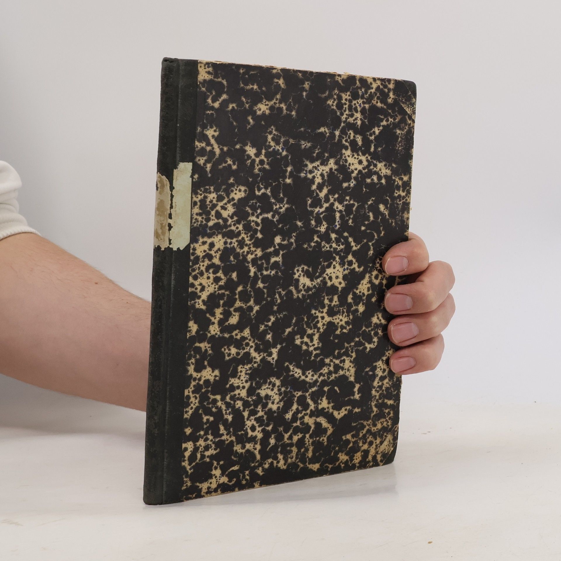 Kolektív autorov Der Schutzengel