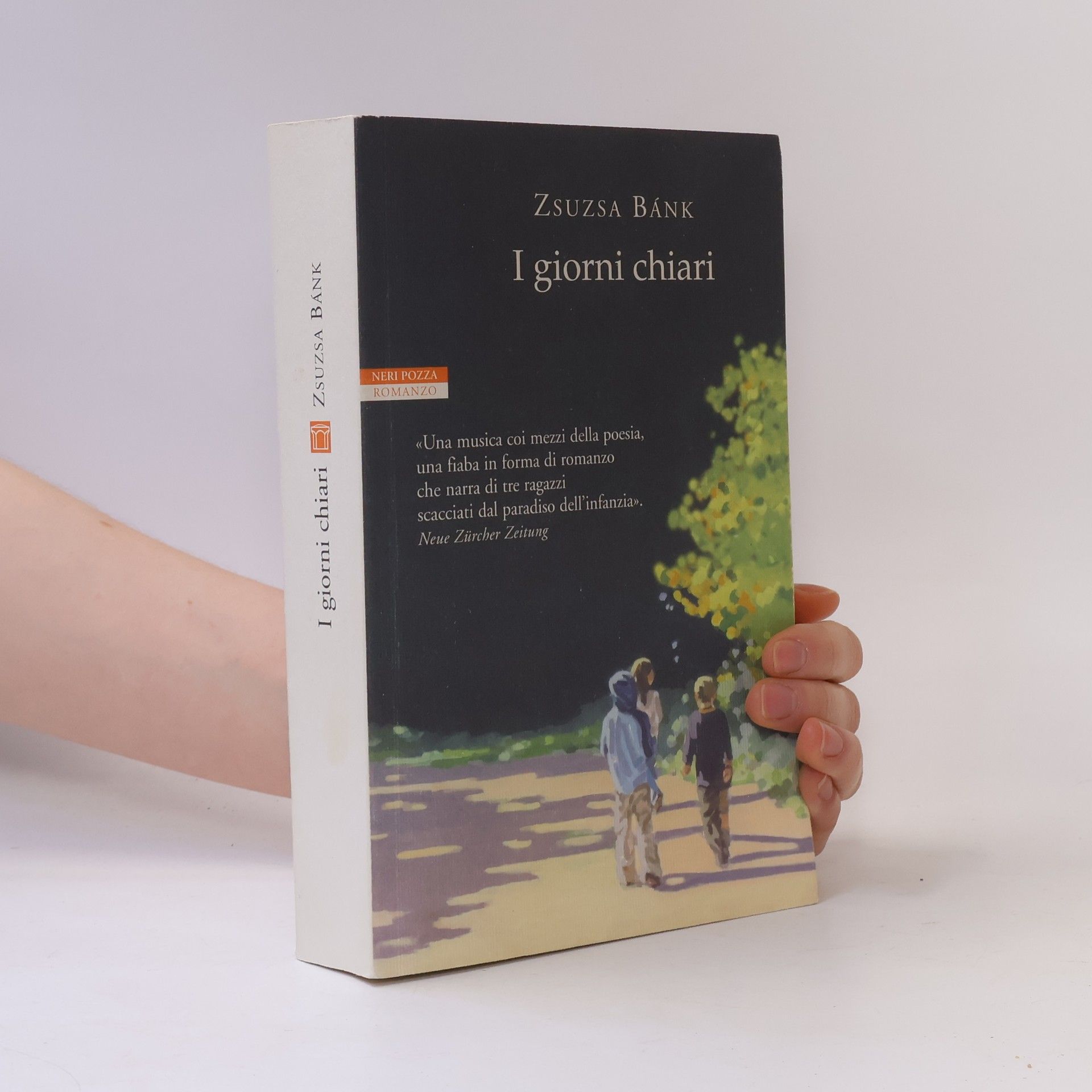 Riccardo Cravero I giorni chiari