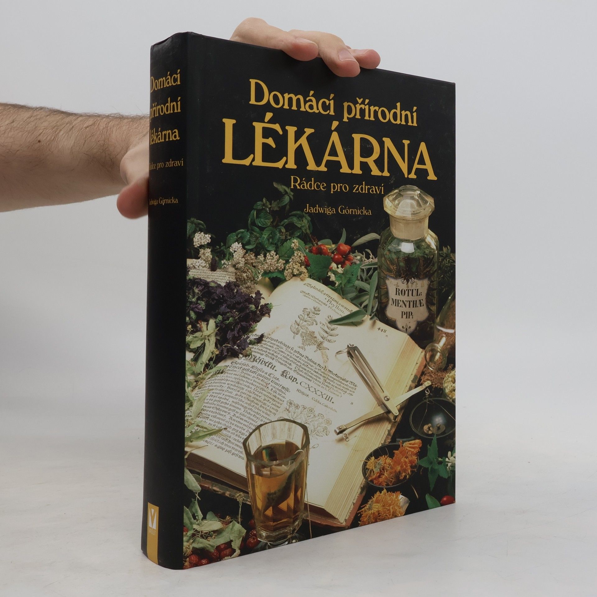 Jadwiga Górnicka Domácí přírodní lékárna
