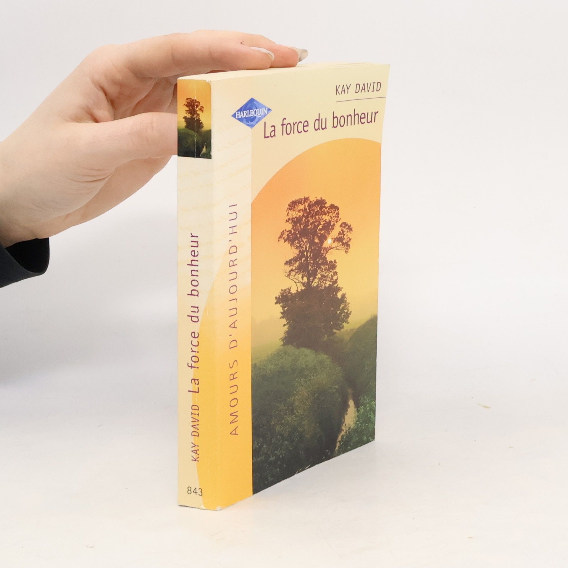 Kay David Amours d'aujourd'hui - 843: La force du bonheur