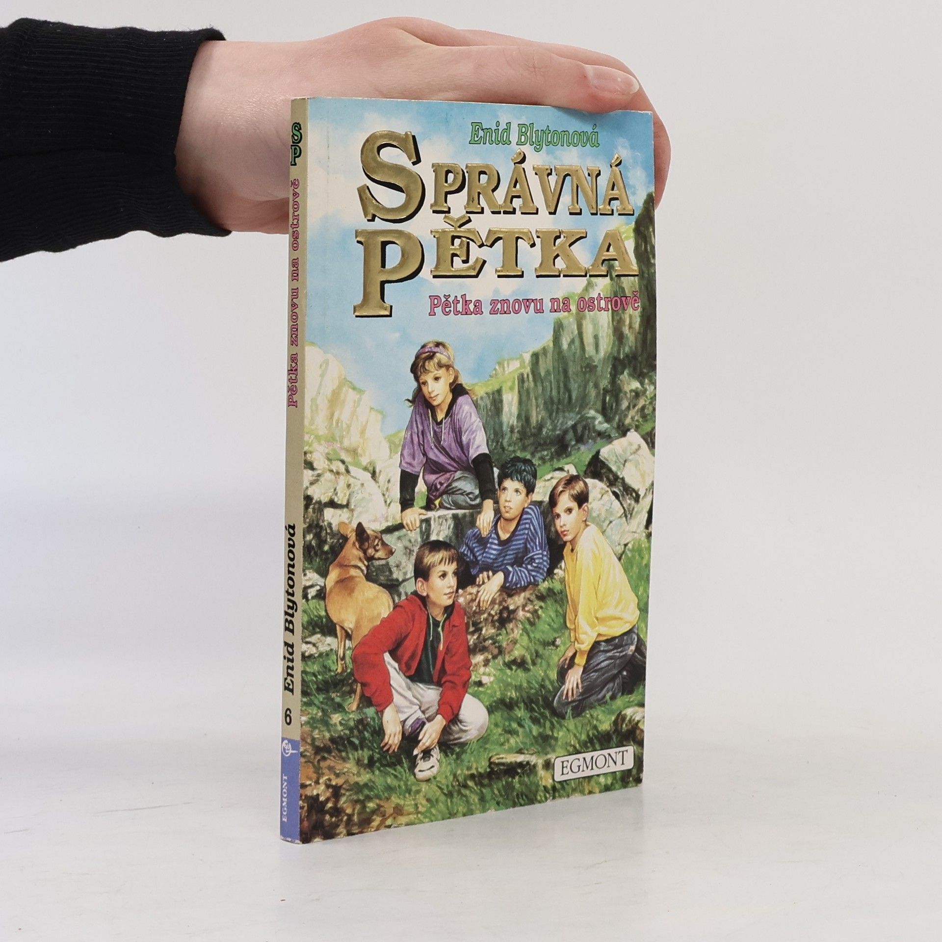 Enid Blyton Správná pětka, Pětka znovu na ostrově