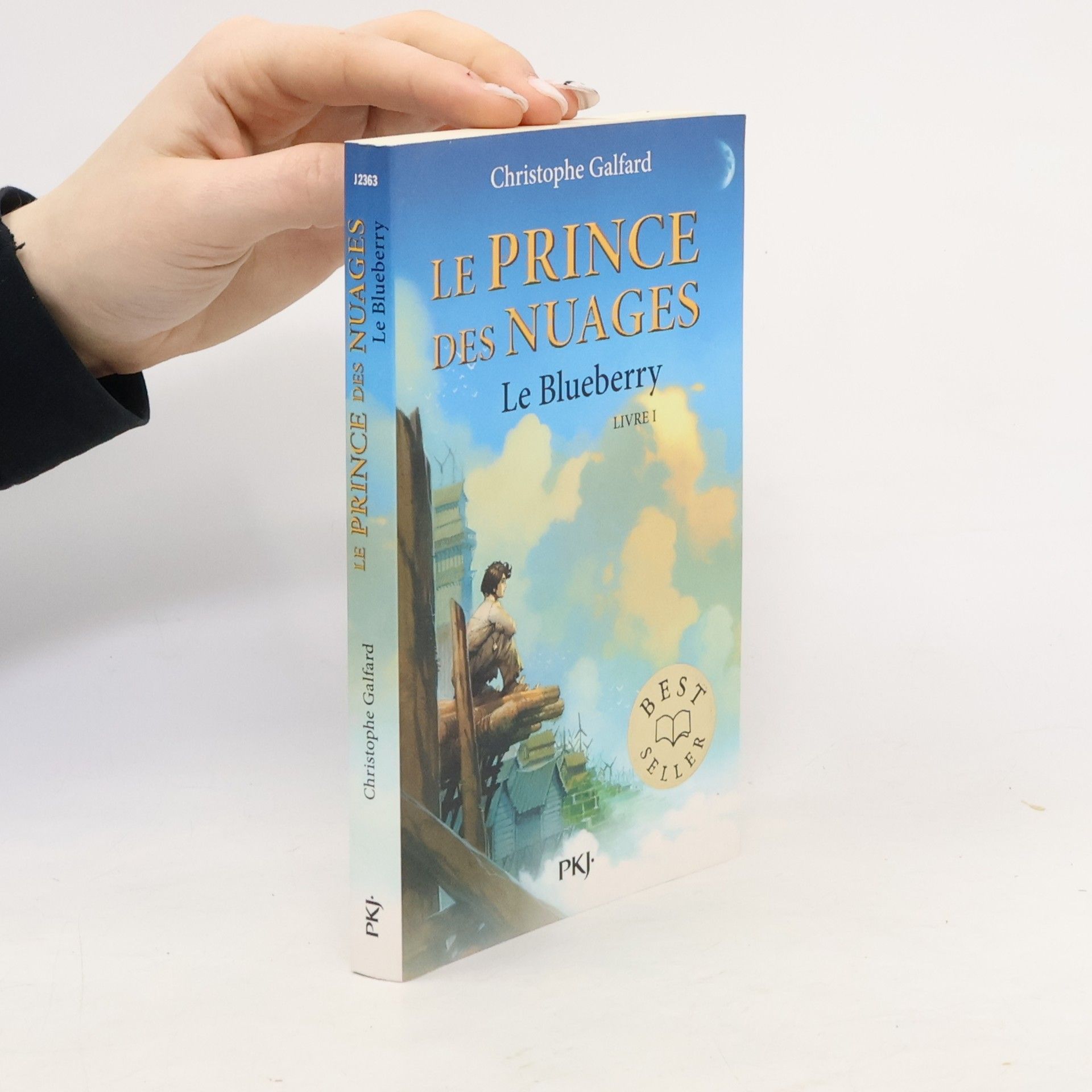 Vincent Dutrait Le Prince des Nuages