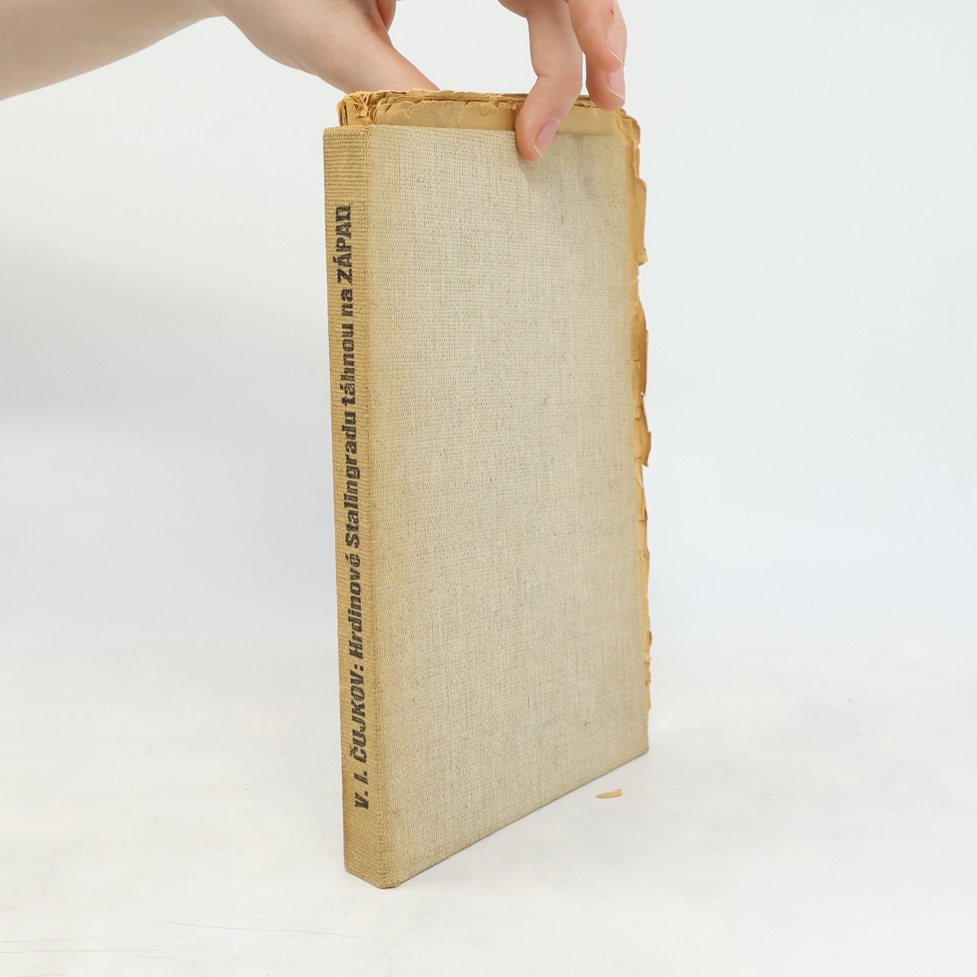 Vasilij Ivanovič Čujkov Hrdinové Stallingradu táhnou na Západ