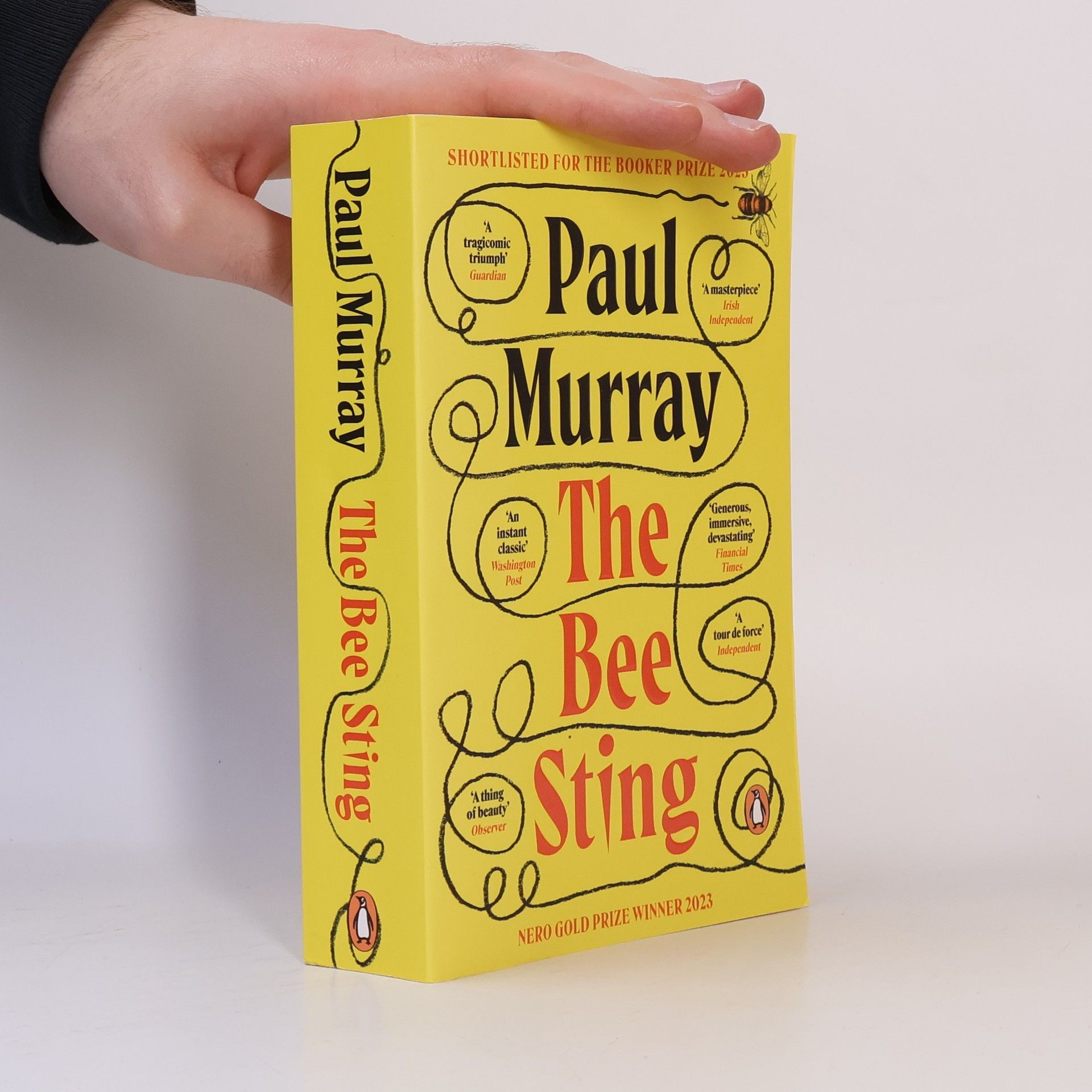 Paul Murray The Bee Sting: Shortlisted for the Booker Prize 2023