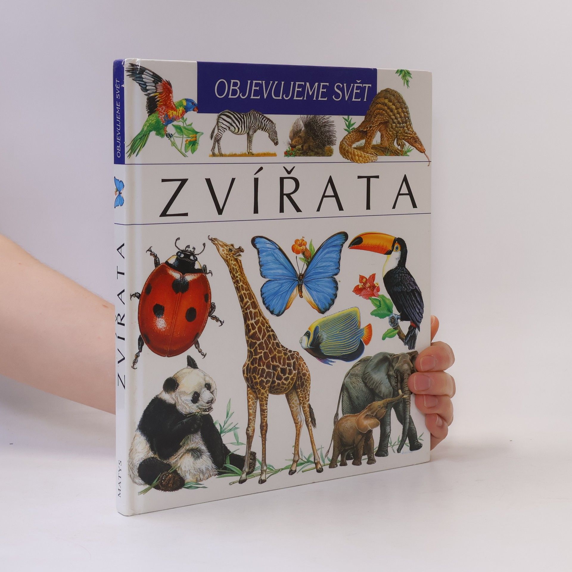 Autorenkollektiv Zvířata. Objevujeme svět