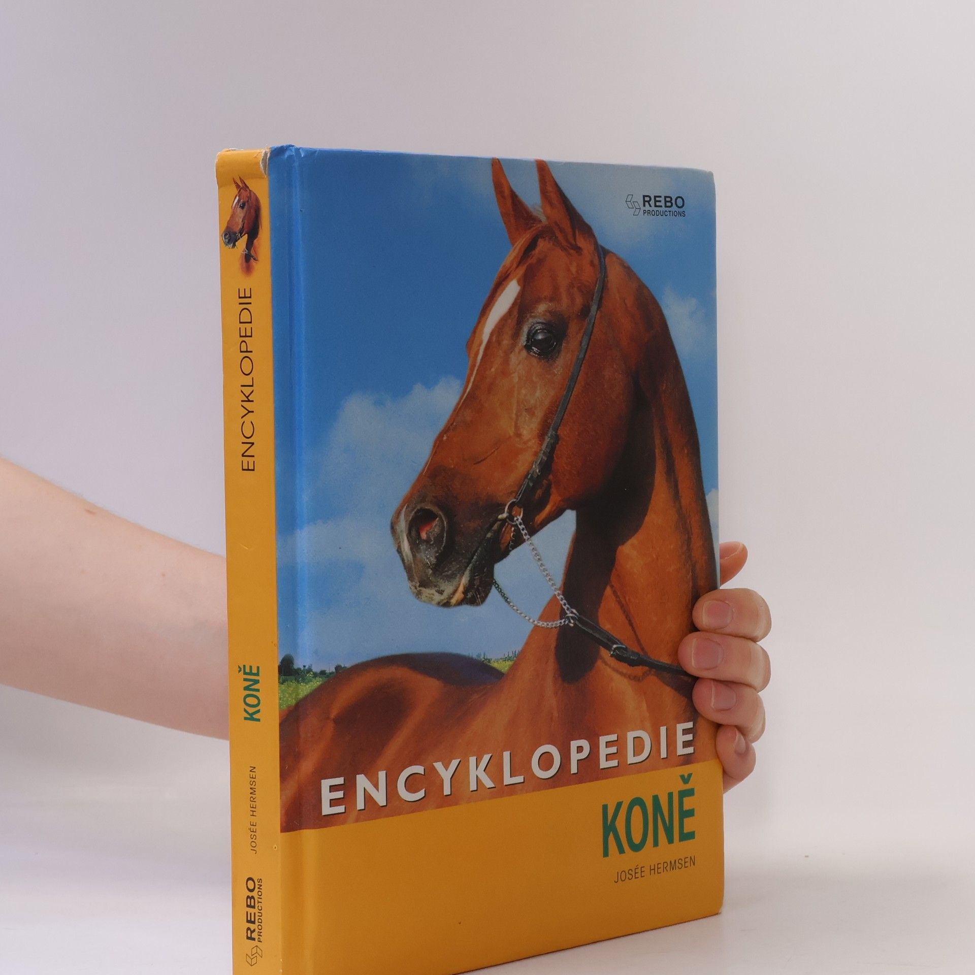 Kateřina Hlavová Koně : encyklopedie