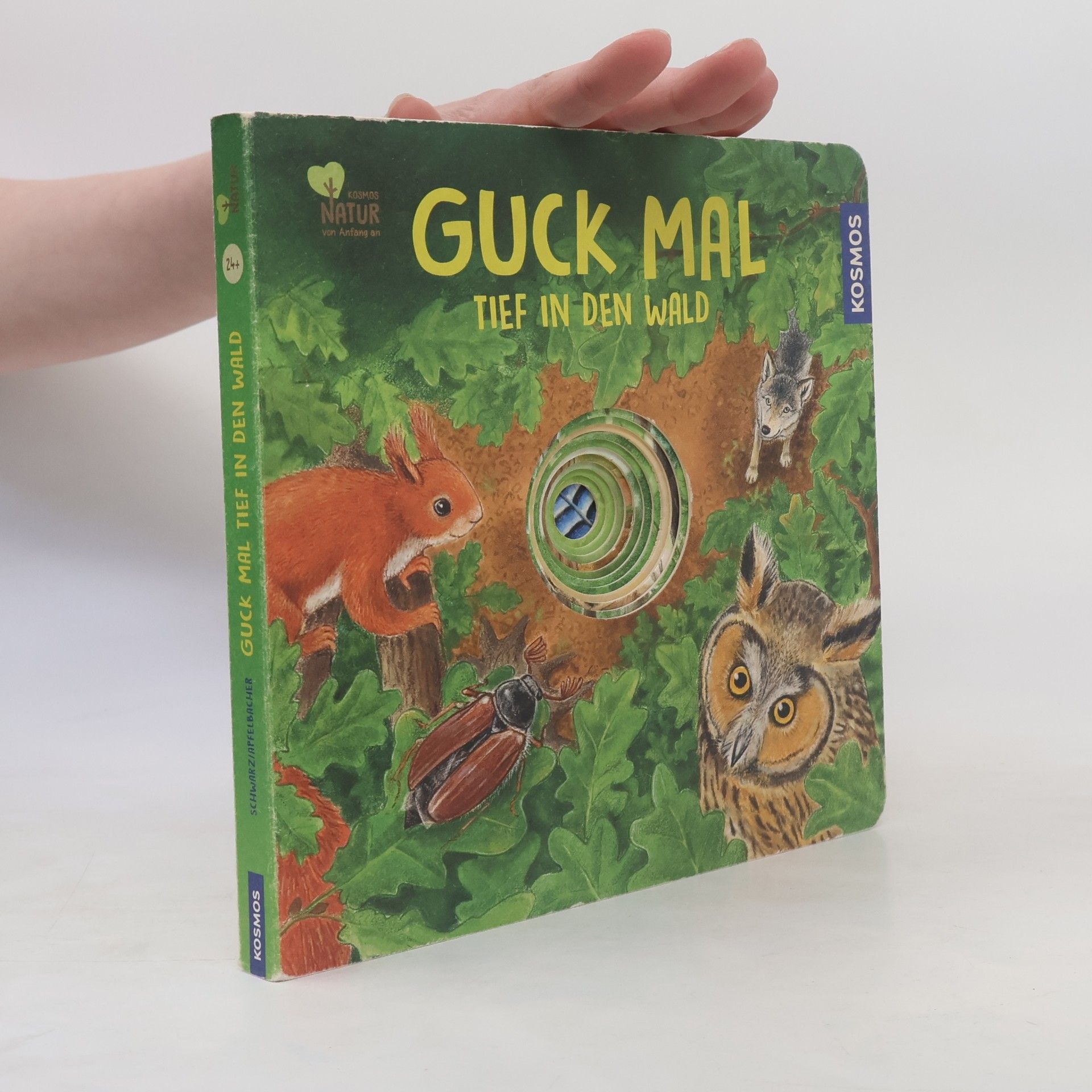 Lisa Apfelbacher Guck mal tief in den Wald