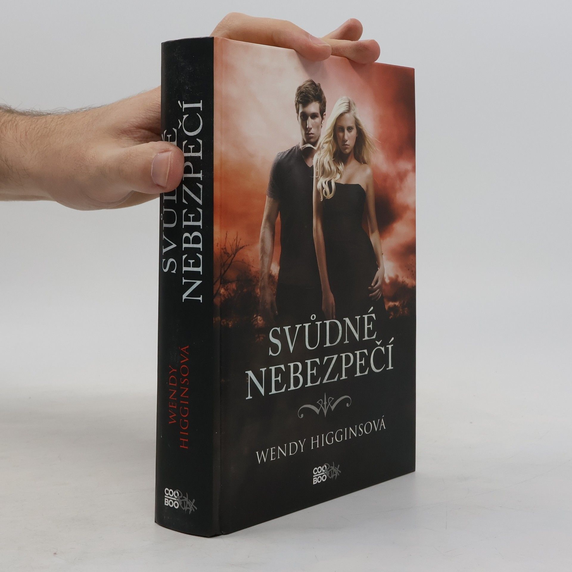 Wendy Higgins Svůdné nebezpečí