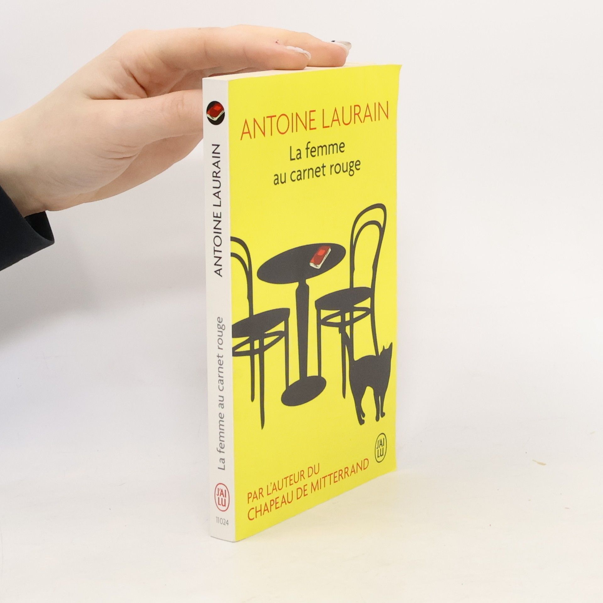 Antoine Laurain La femme au carnet rouge