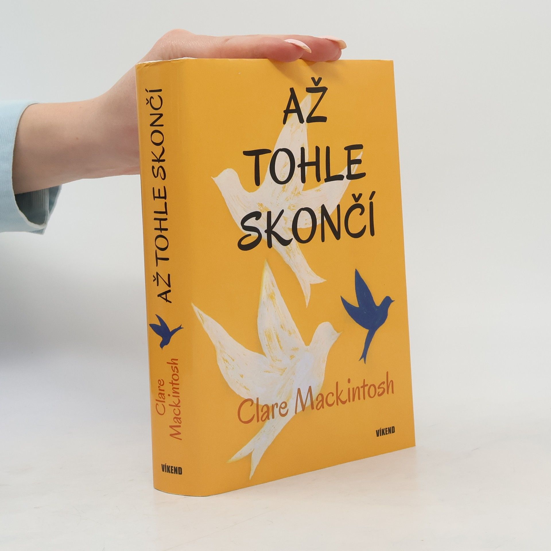 Clare Mackintosch Až tohle skončí