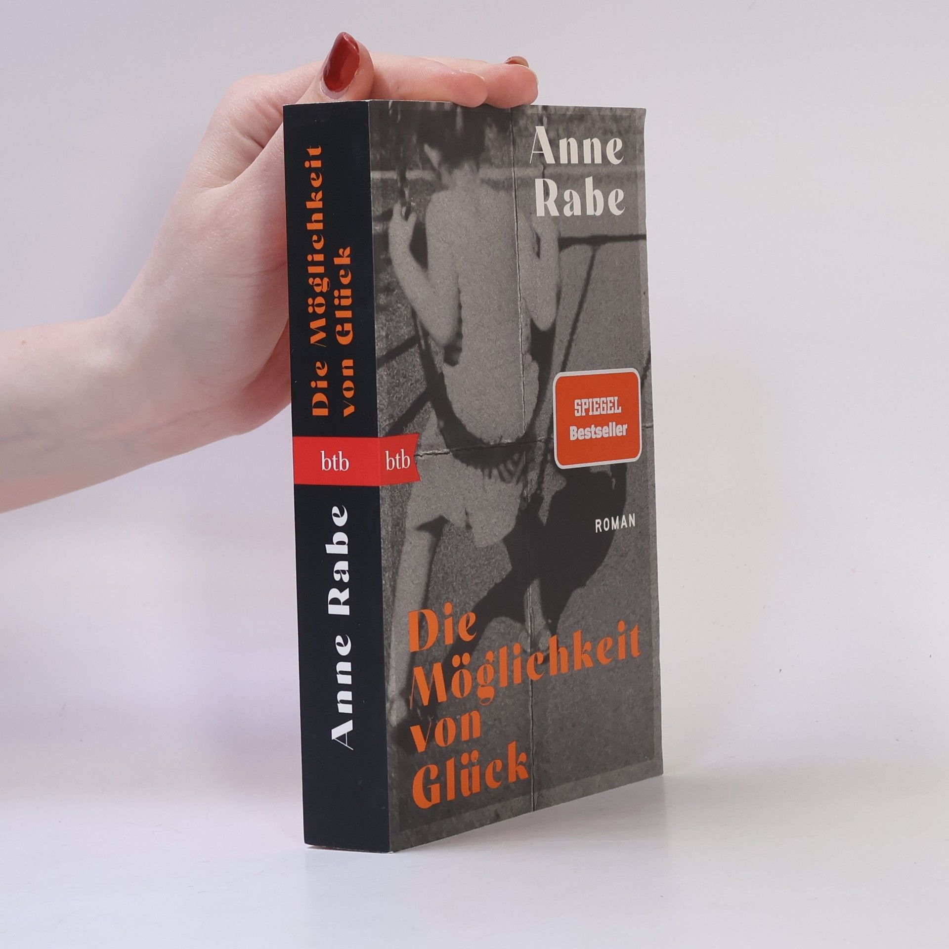 Anne Rabe Die Möglichkeit von Glück