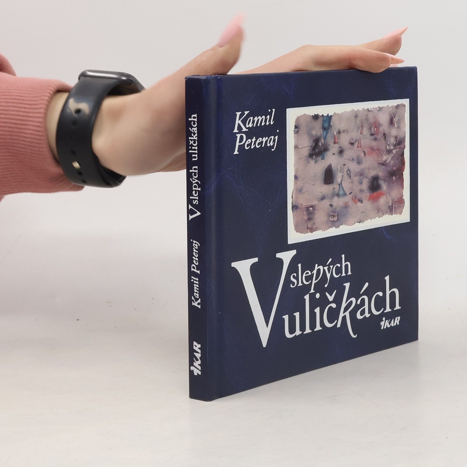 Kamil Peteraj V slepých uličkách