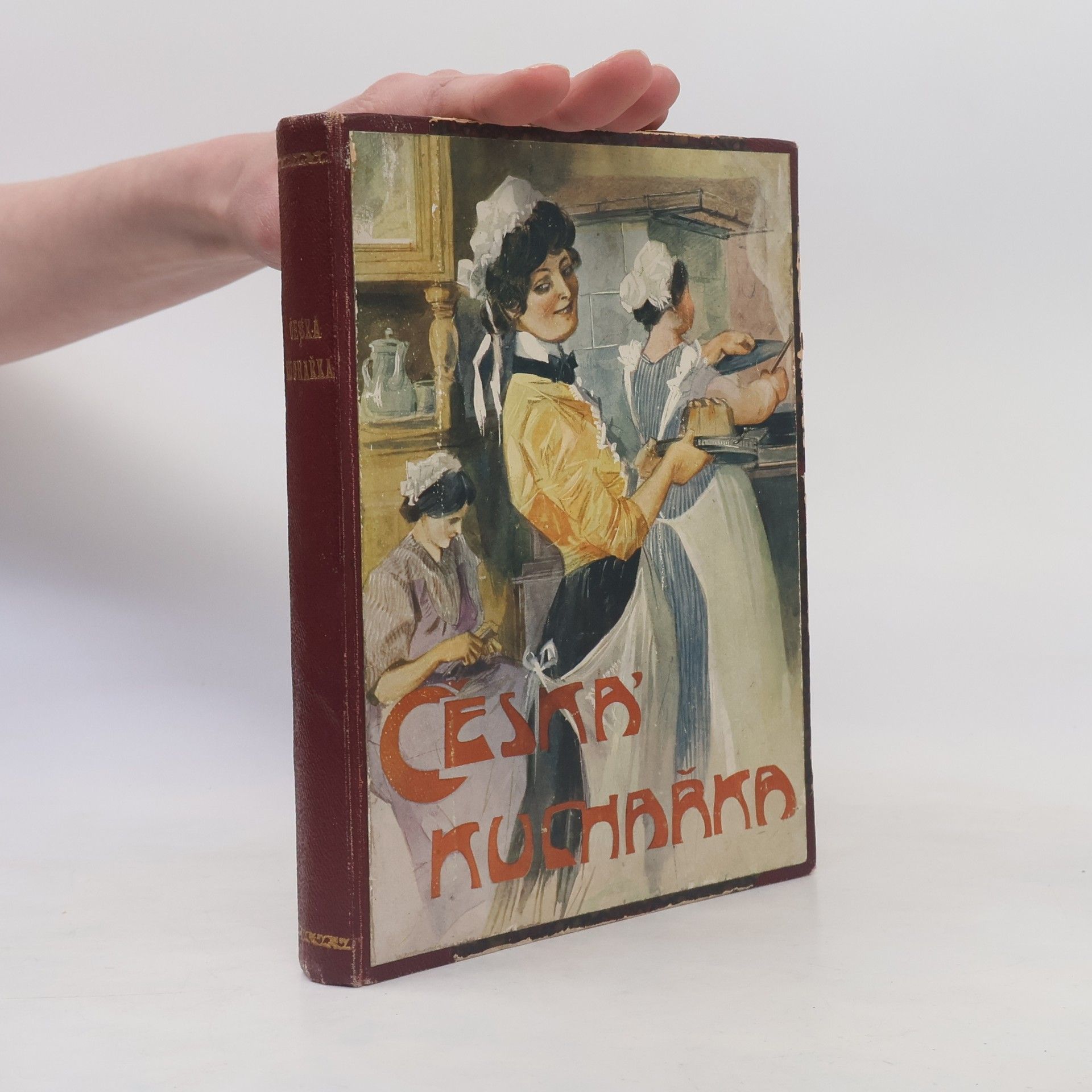 Collectif d'auteurs Česká kuchařka