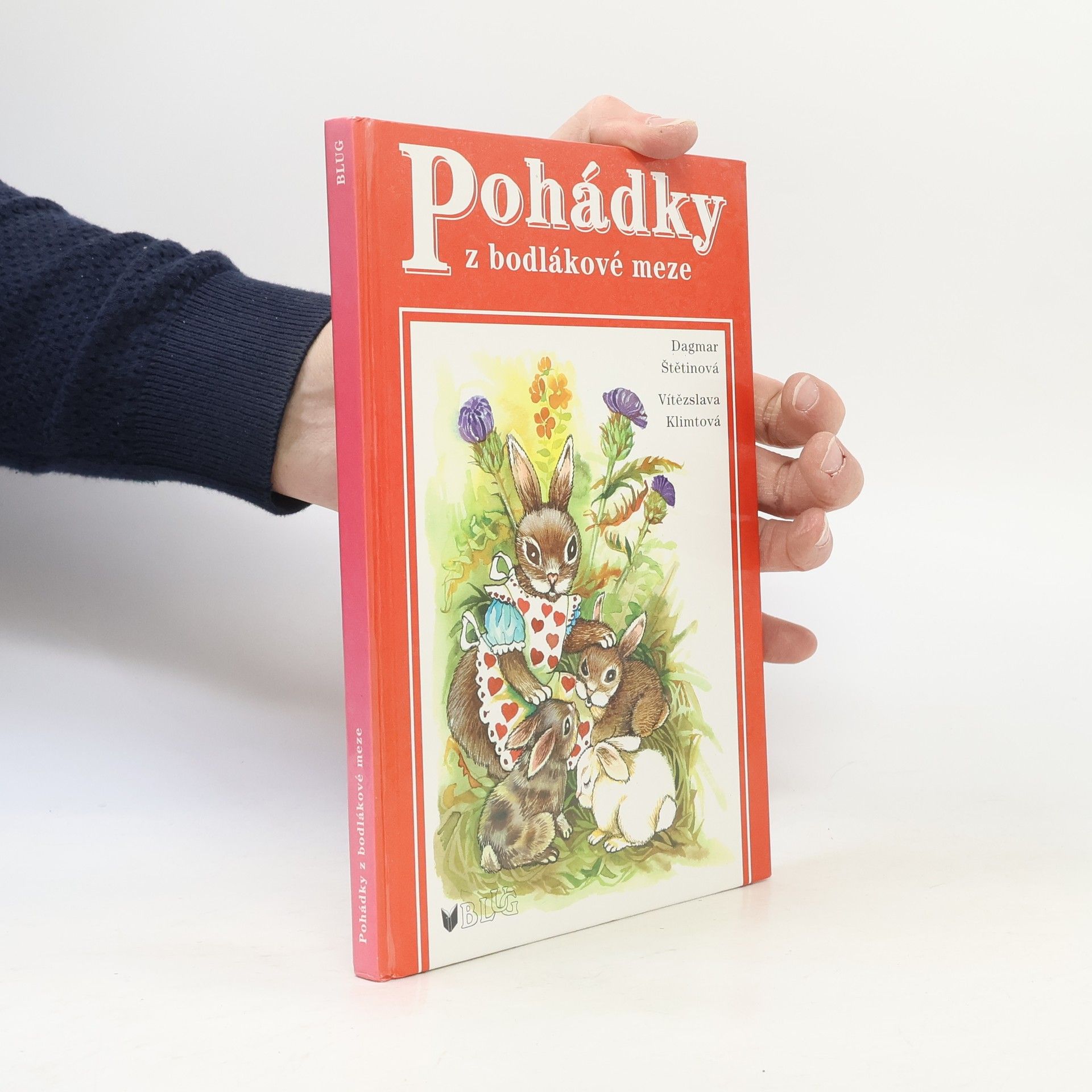 Dagmar Štětinová Pohádky z bodlákové meze