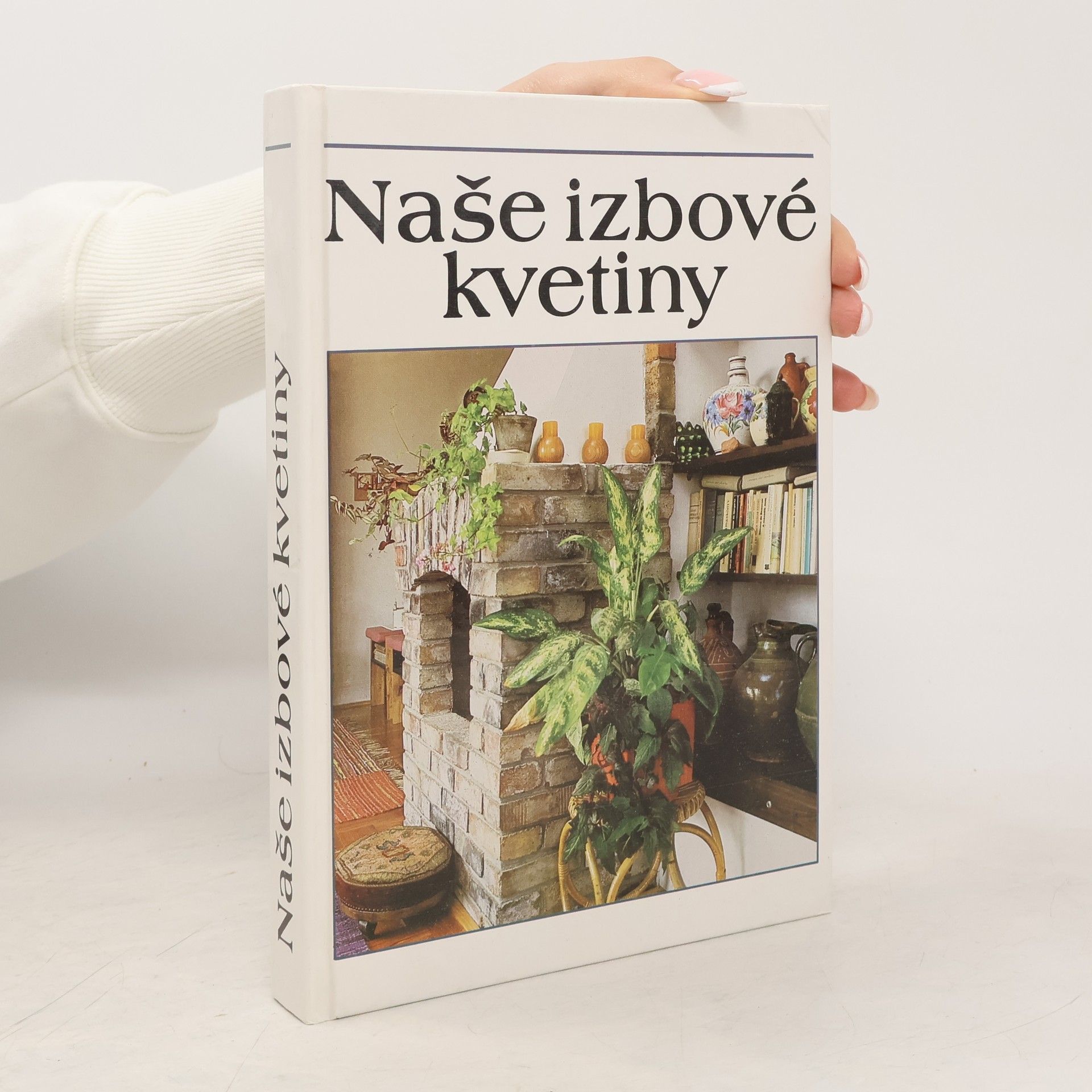 Lajos Lelkes Naše izbové kvetiny