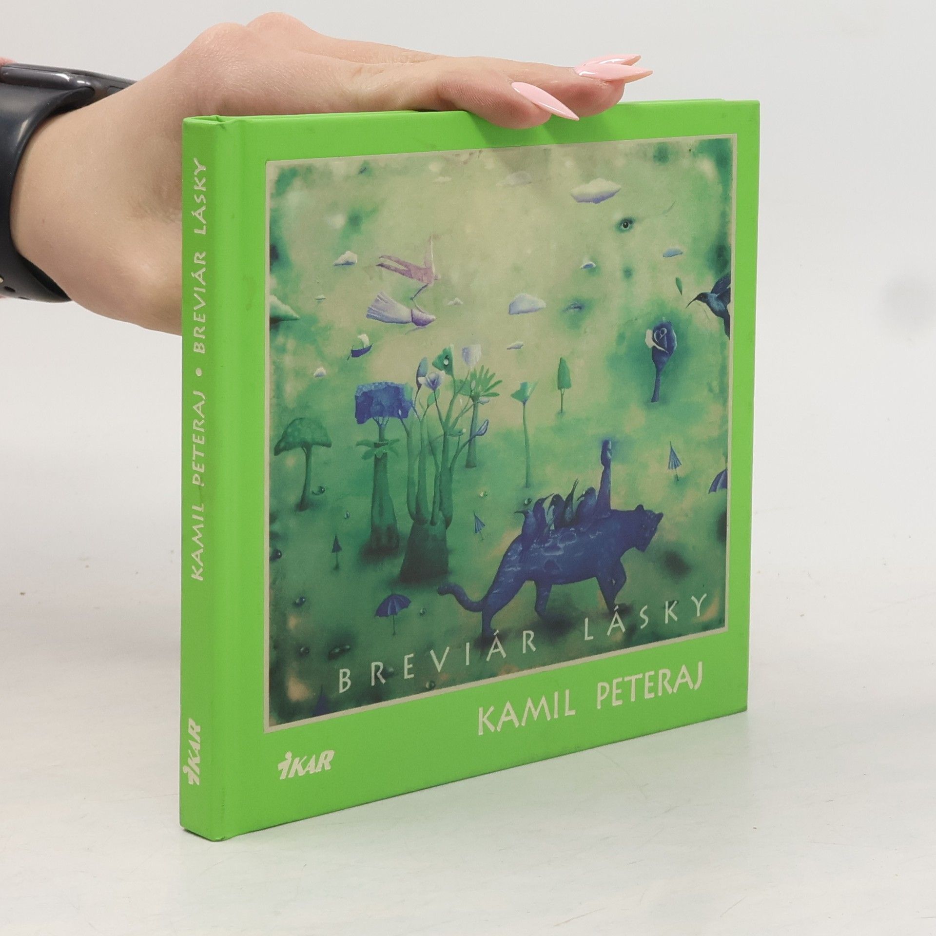 Kamil Peteraj Breviár lásky