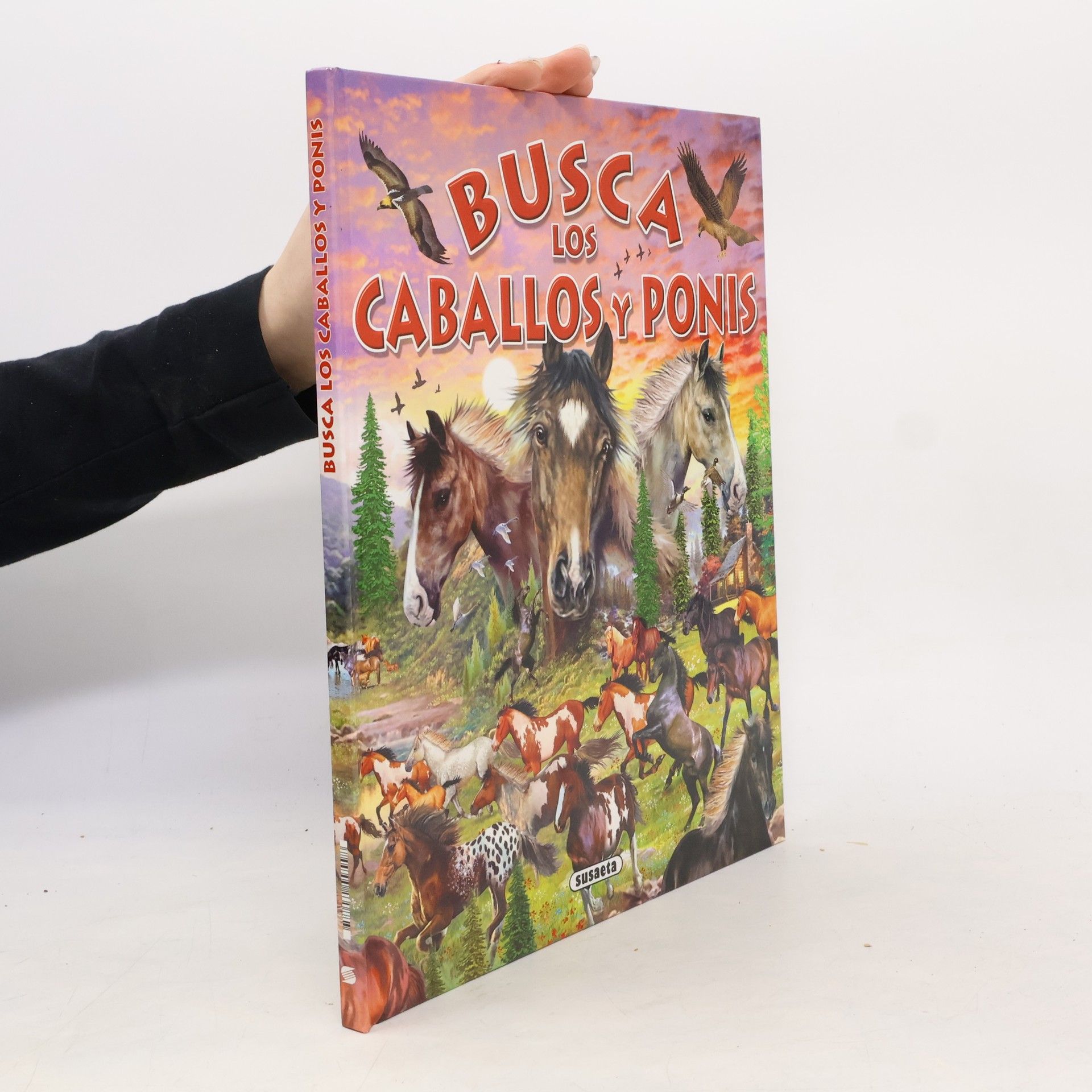 Equipo Susaeta Busca los caballos y ponis