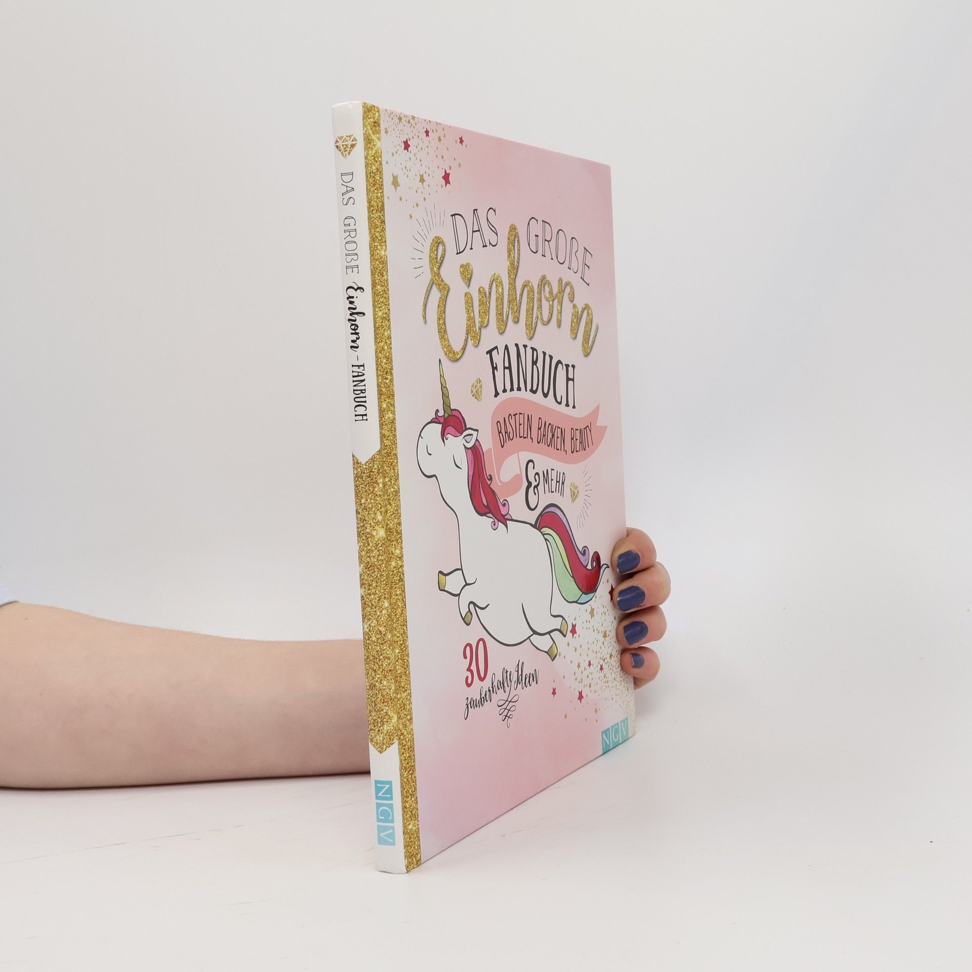 Autorenkollektiv Das grosse Einhorn Fanbuch