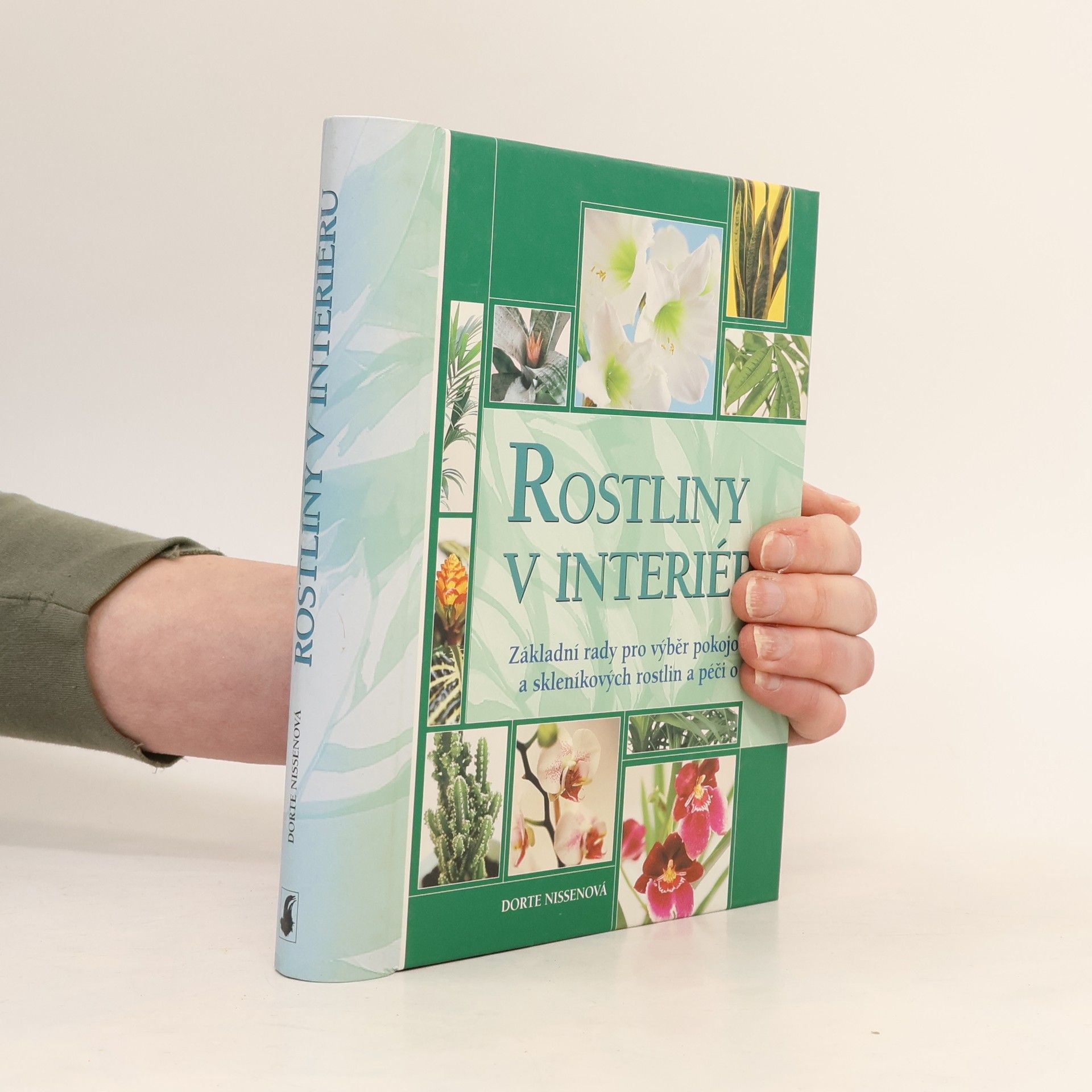 Rostliny v interiéru