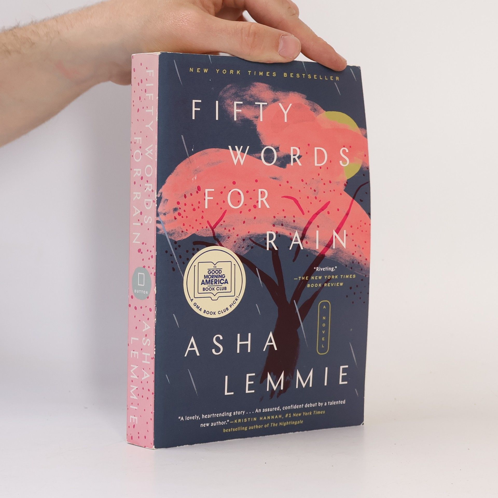 Asha Lemmie Fifty Words for Rain