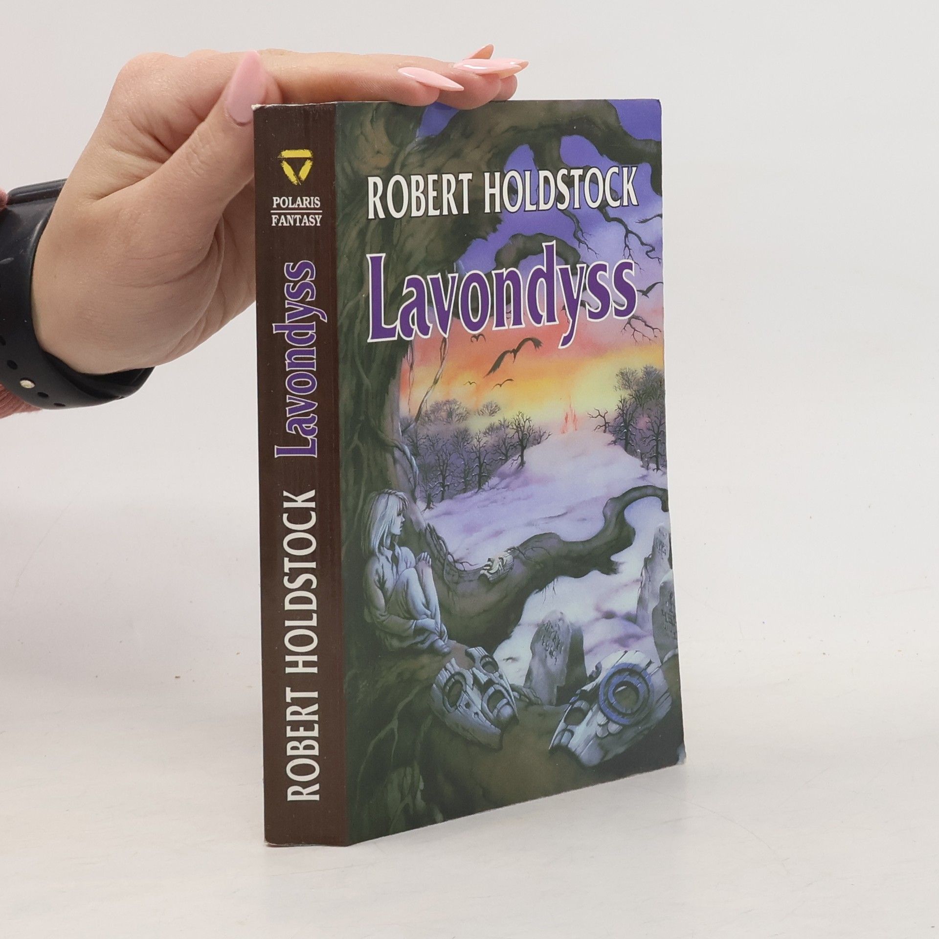 Robert Holdstock Lavondyss : cesta do neznámé země