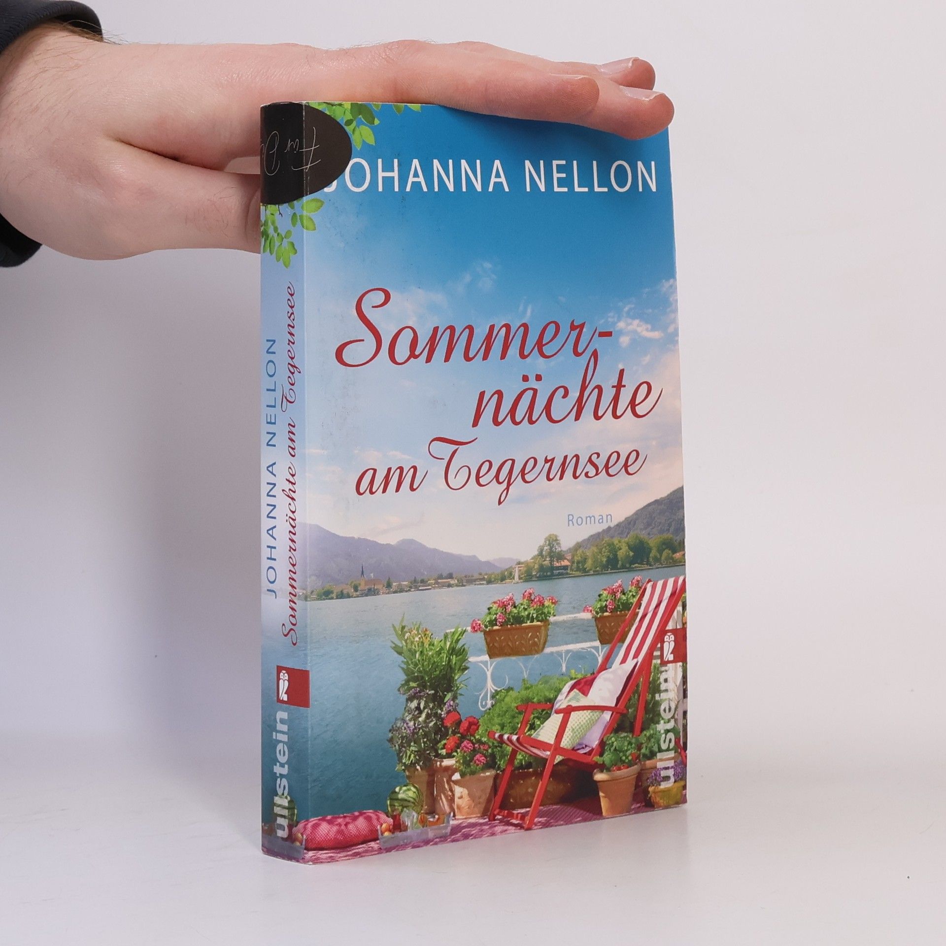 Johanna Nellon Sommernächte am Tegernsee