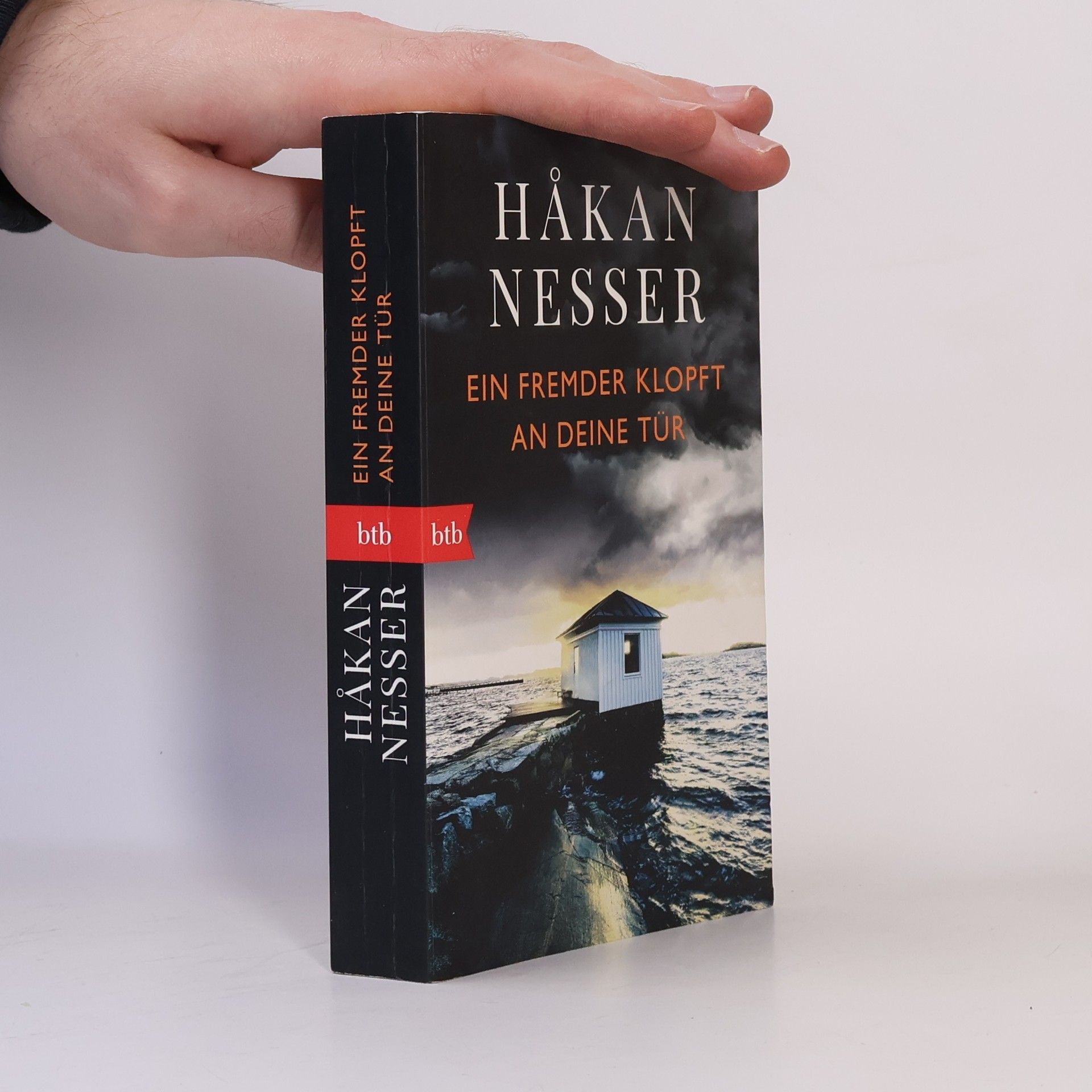 Håkan Nesser Ein Fremder klopft an deine Tür