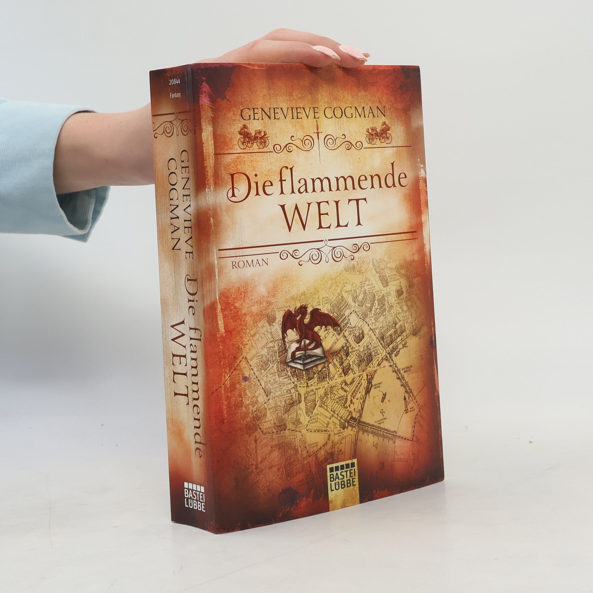 Genevieve Cogman Die flammende Welt