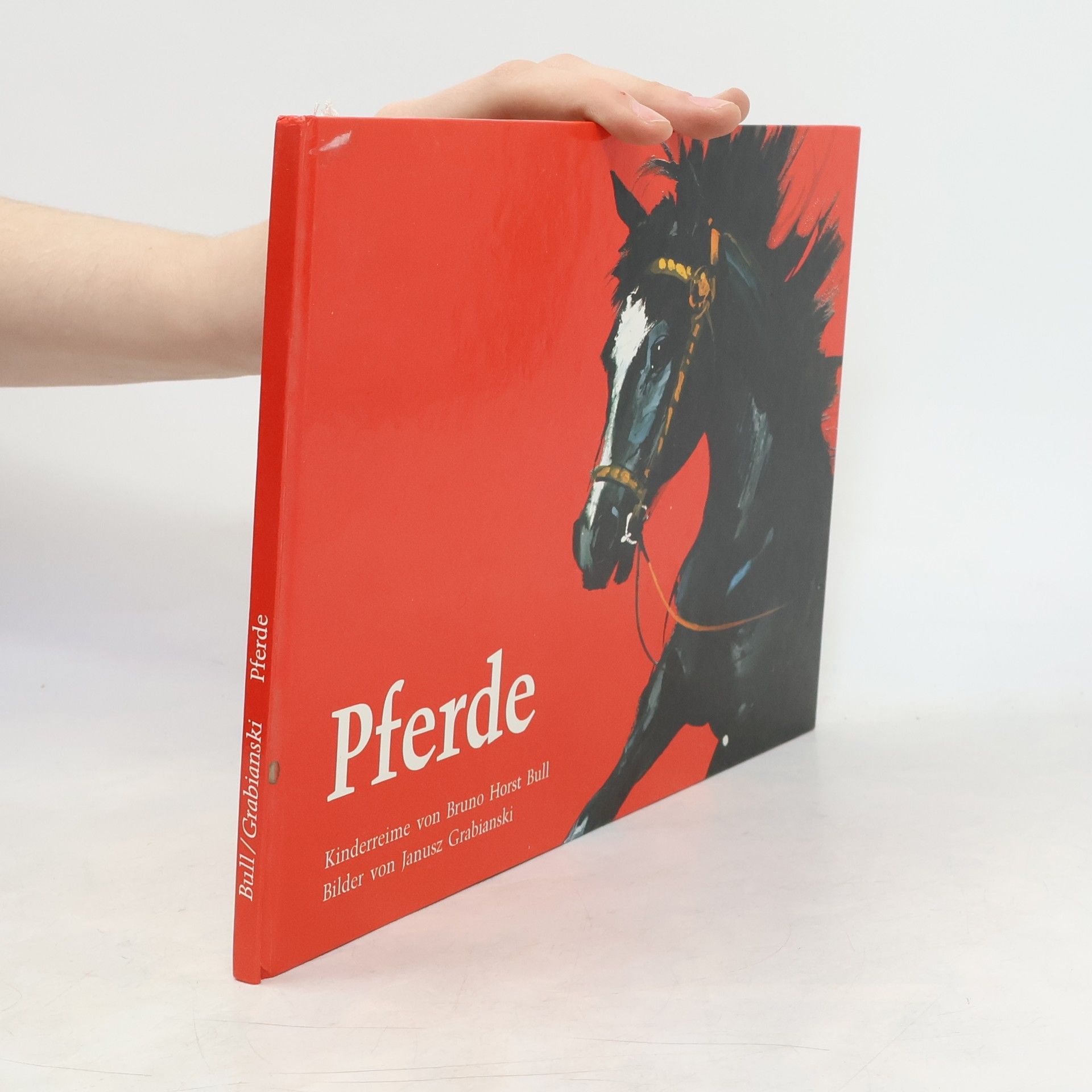 Pferde