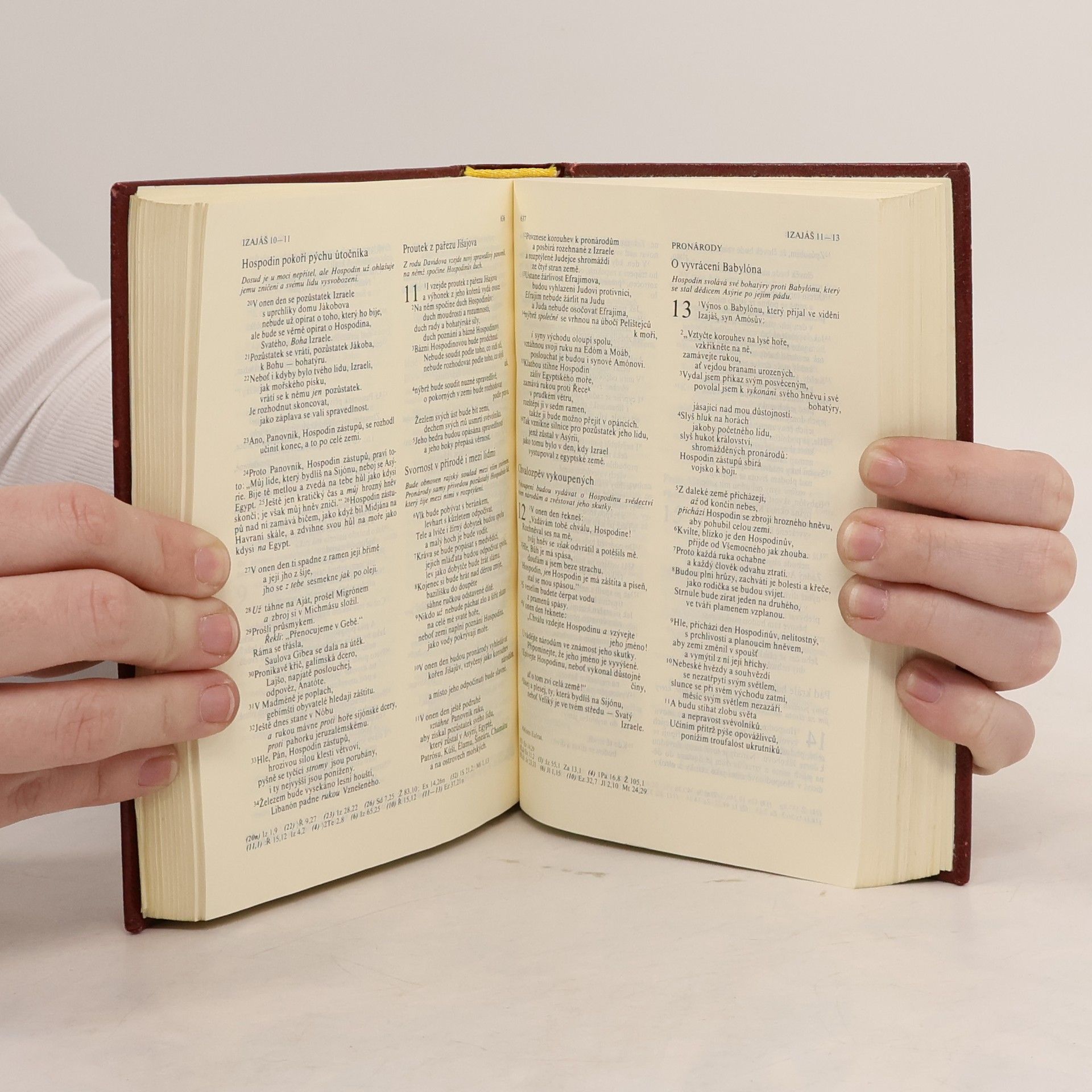 Autorenkollektiv Bible. Písmo svaté Starého i Nového zákona. Ekumenický překlad