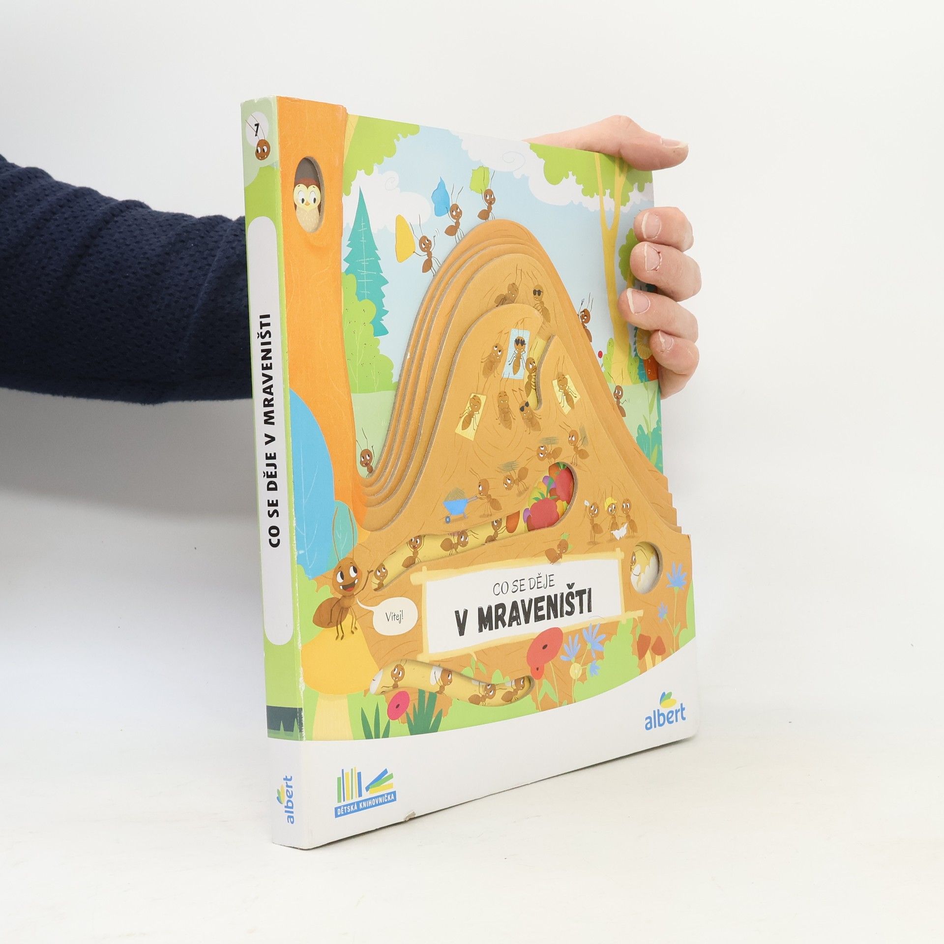 Kolektiv autorů Co se děje v mraveništi