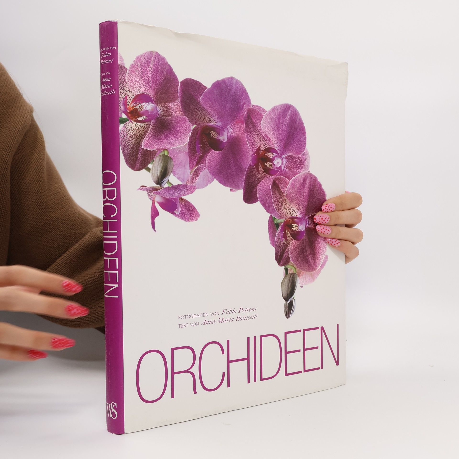 Anna Maria Botticelli Orchideen