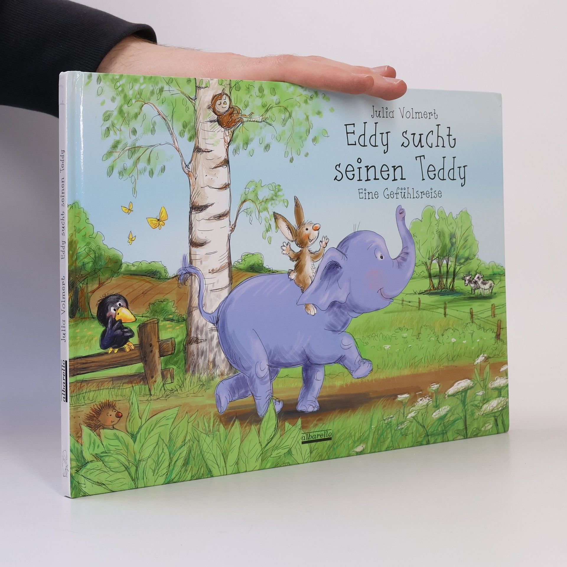 Julia Volmert Eddy sucht seinen Teddy