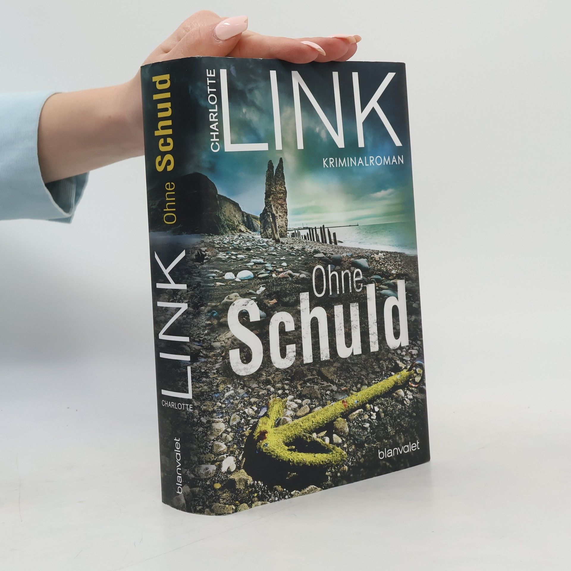 Charlotte Link Ohne Schuld