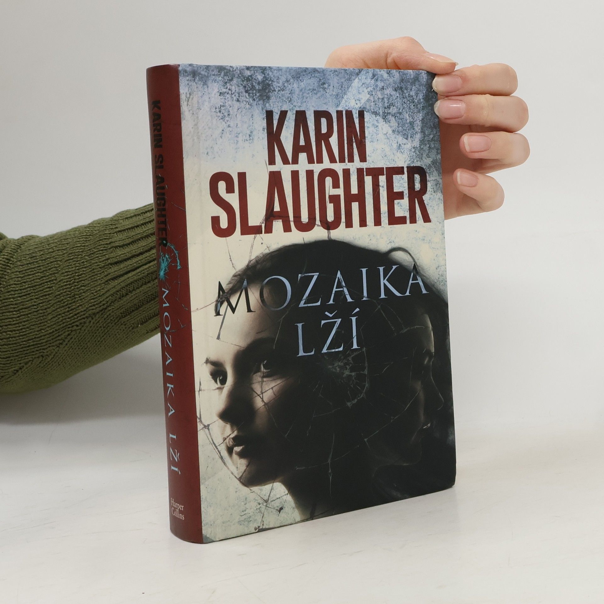 Karin Slaughter Mozaika lží