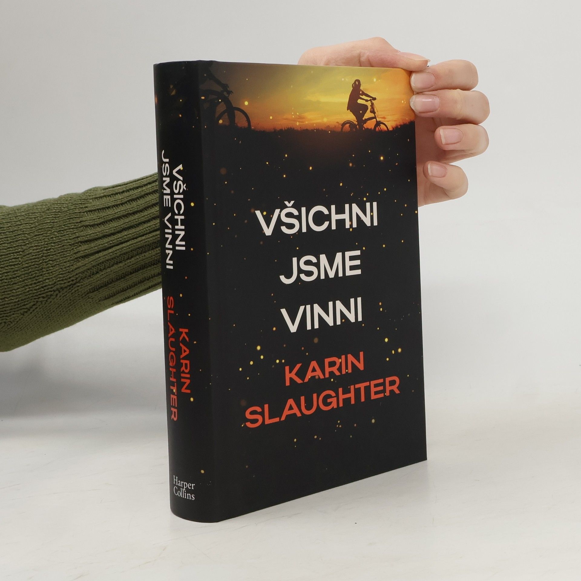 Karin Slaughter Všichni jsme vinni