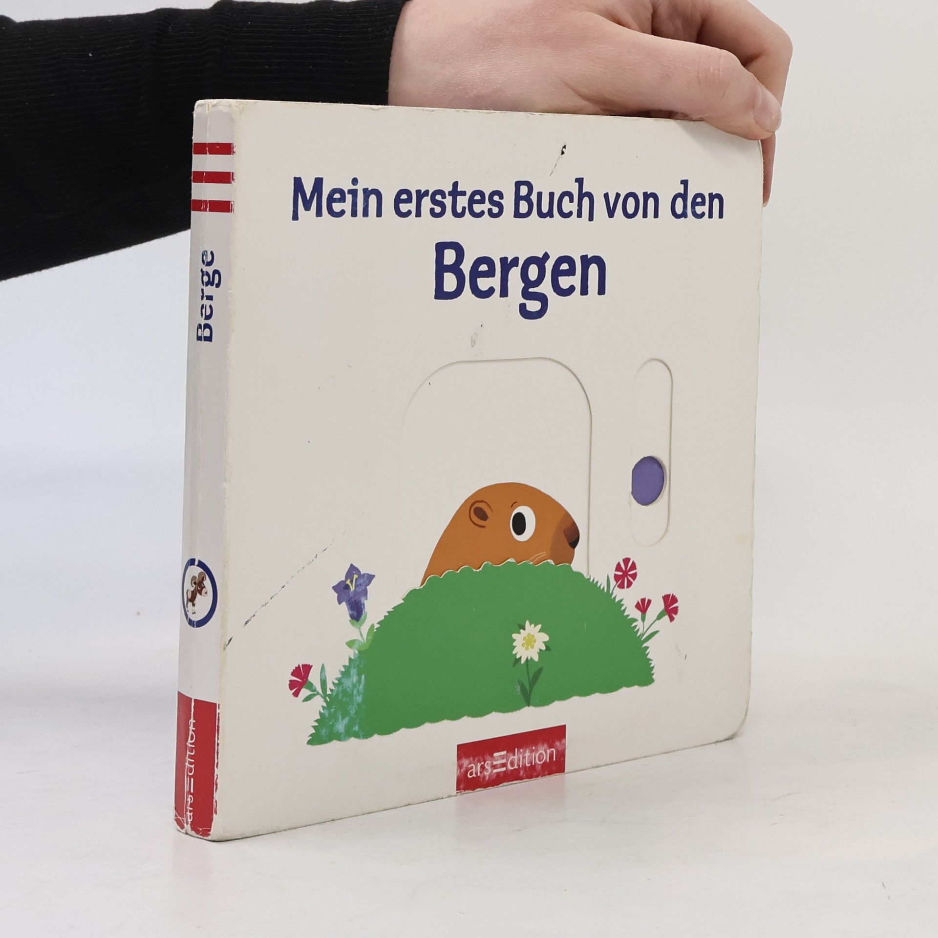 Nathalie Choux Mein erstes Buch von den Bergen