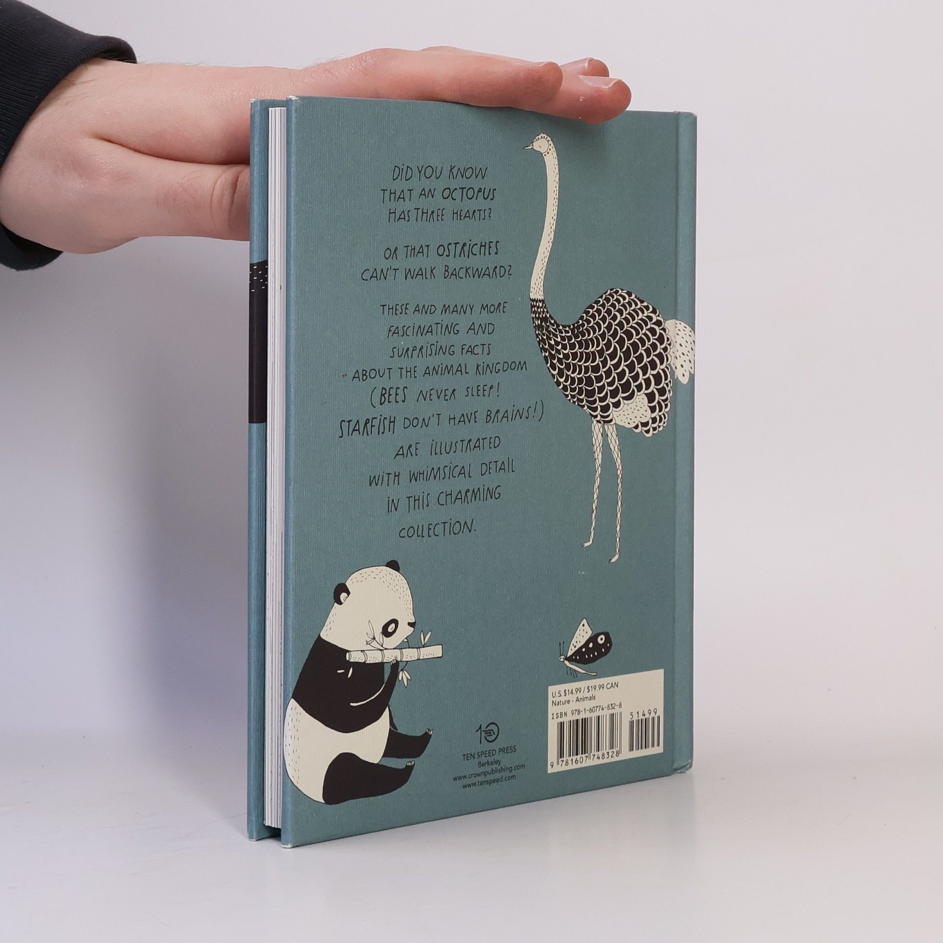 Maja Säfström The Illustrated Compendium of Amazing Animal Facts