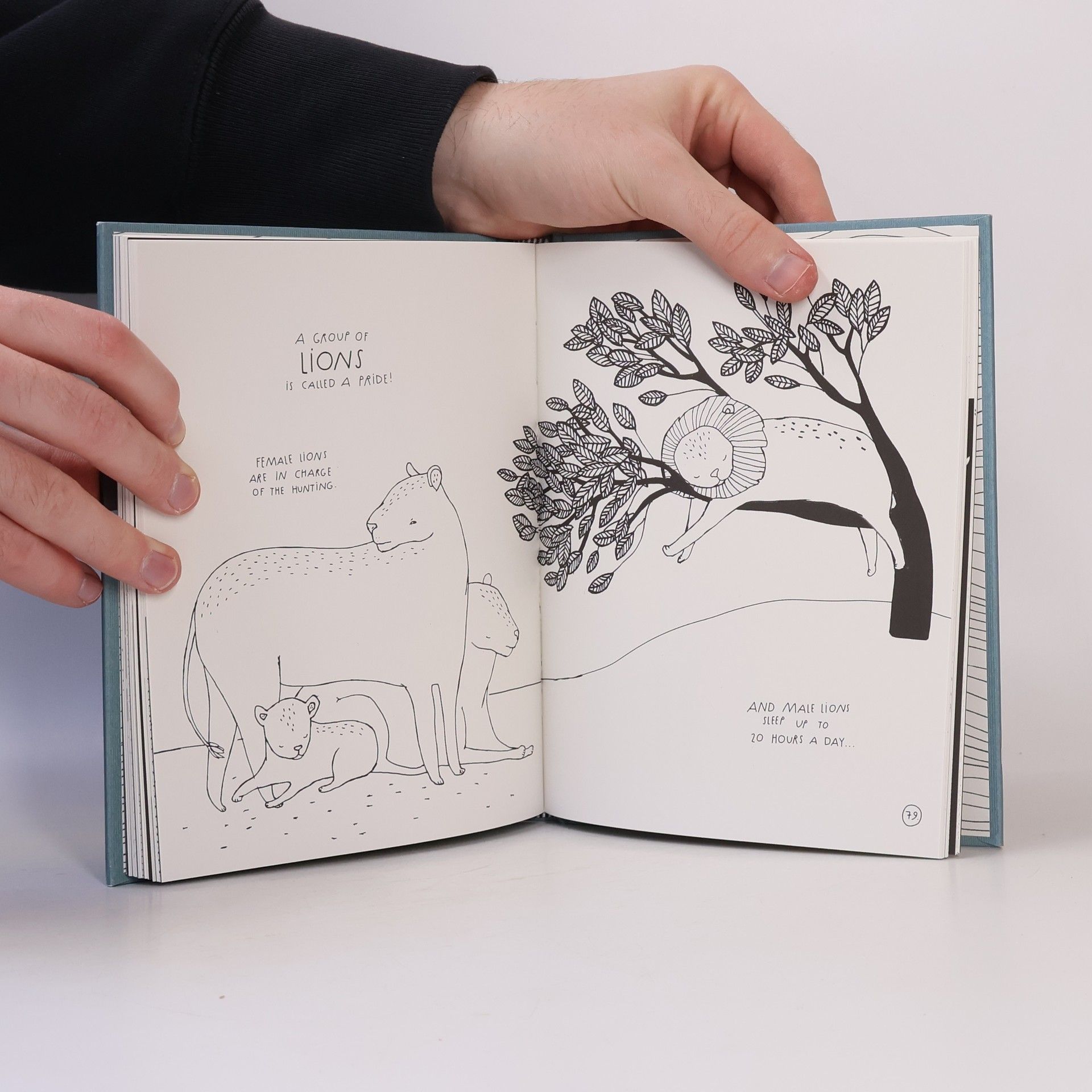 Maja Säfström The Illustrated Compendium of Amazing Animal Facts