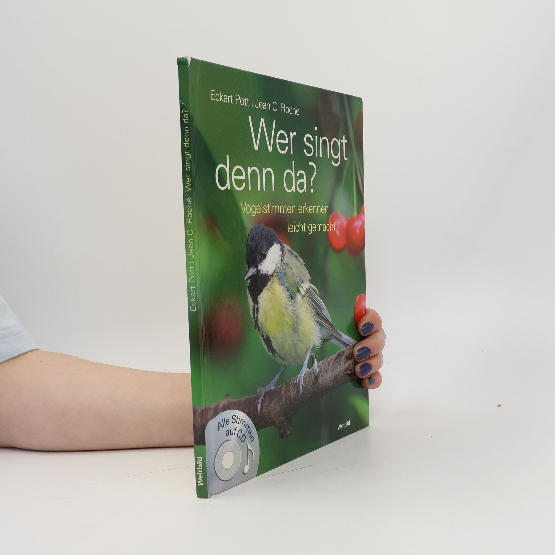 Kolektiv autorů Wer singt denn da?