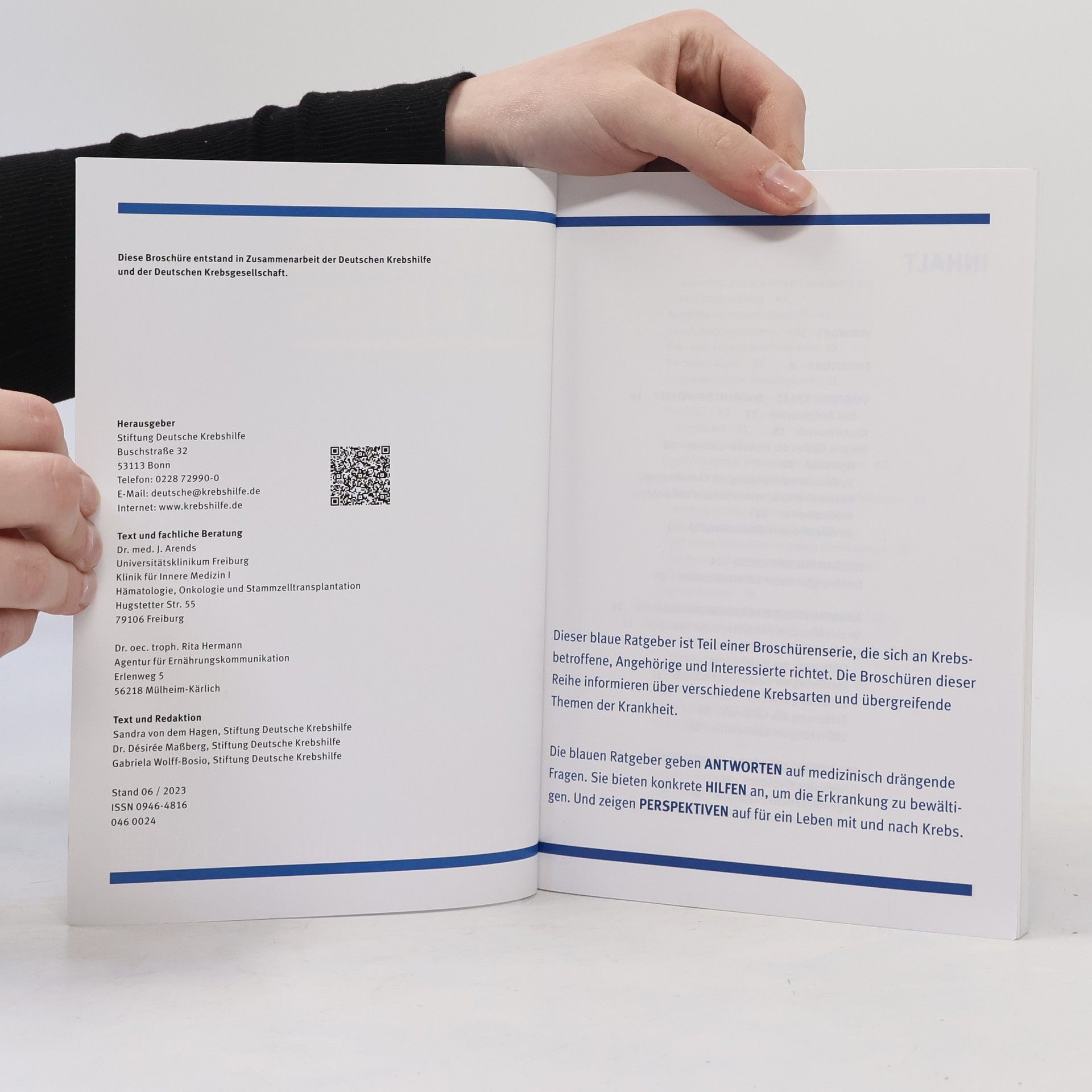 Autorenkollektiv Ernährung bei Krebs 46. Die blauen Ratgeber