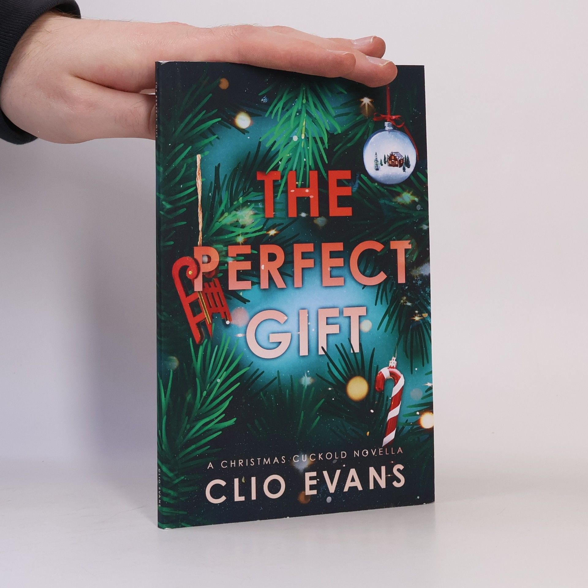 Clio Evans The Perfect Gift