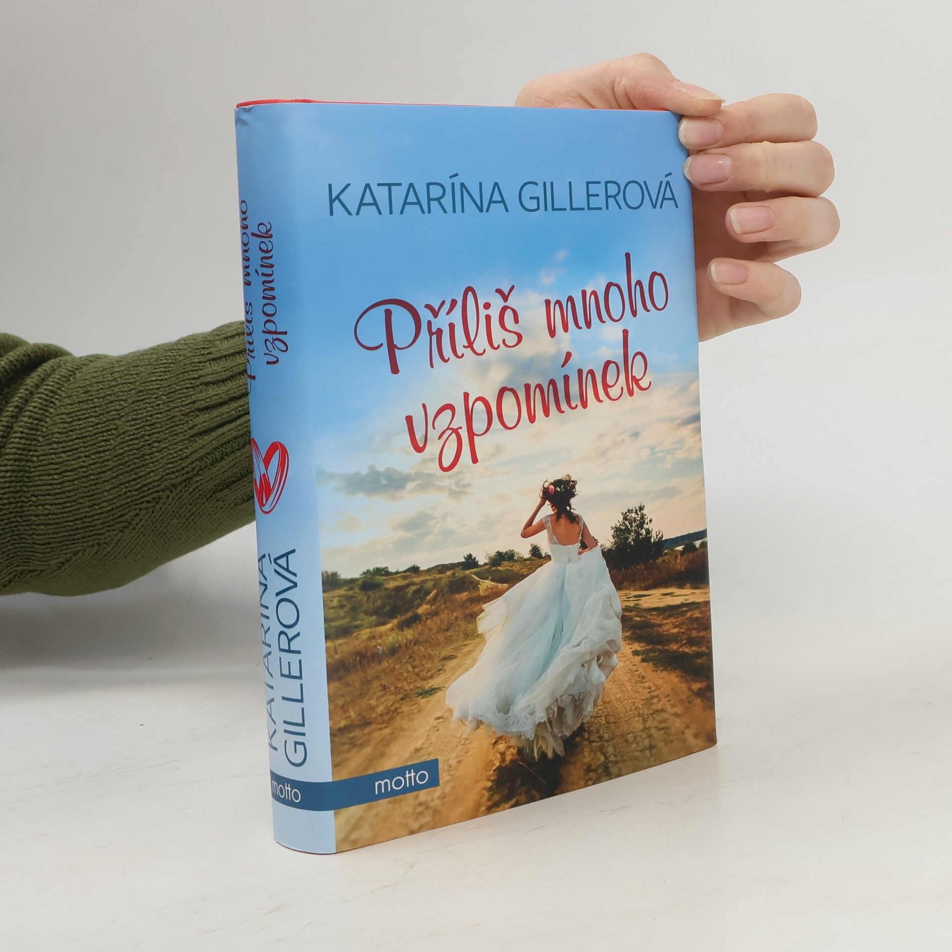 Gillerová Katarína Příliš mnoho vzpomínek