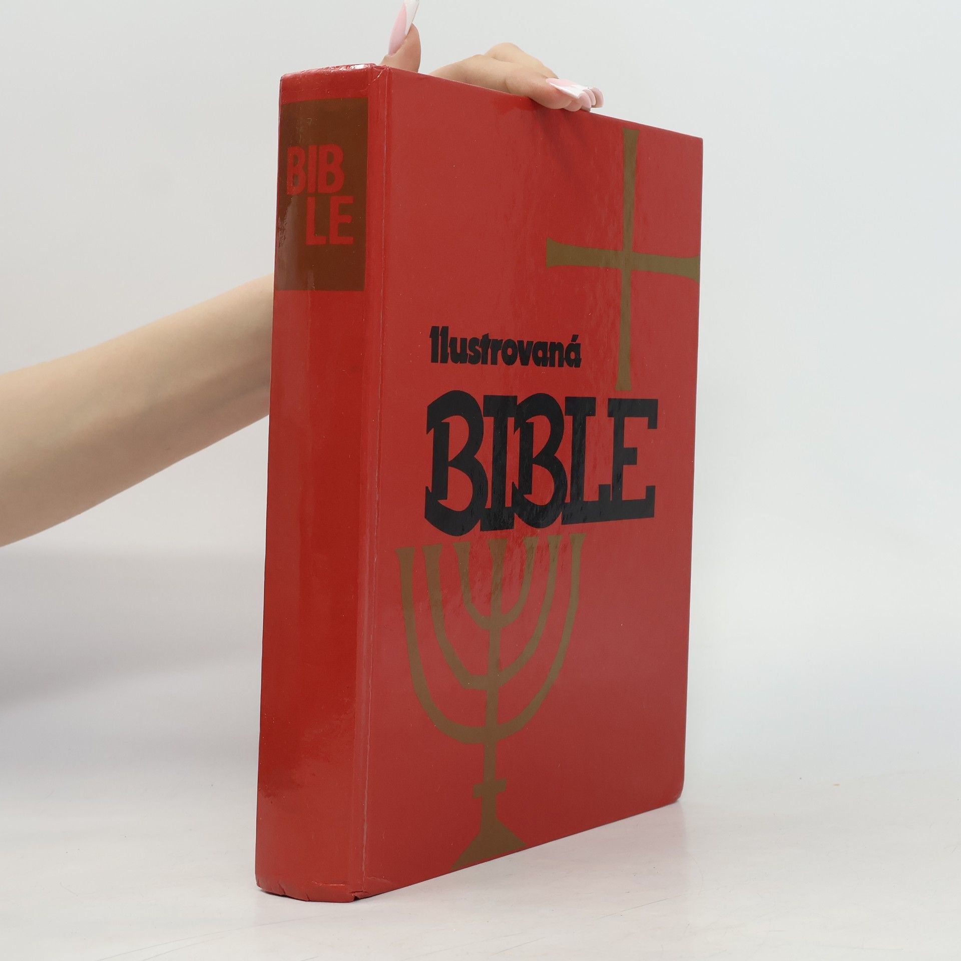 Samuel Terrien Ilustrovaná Bible pro mládež