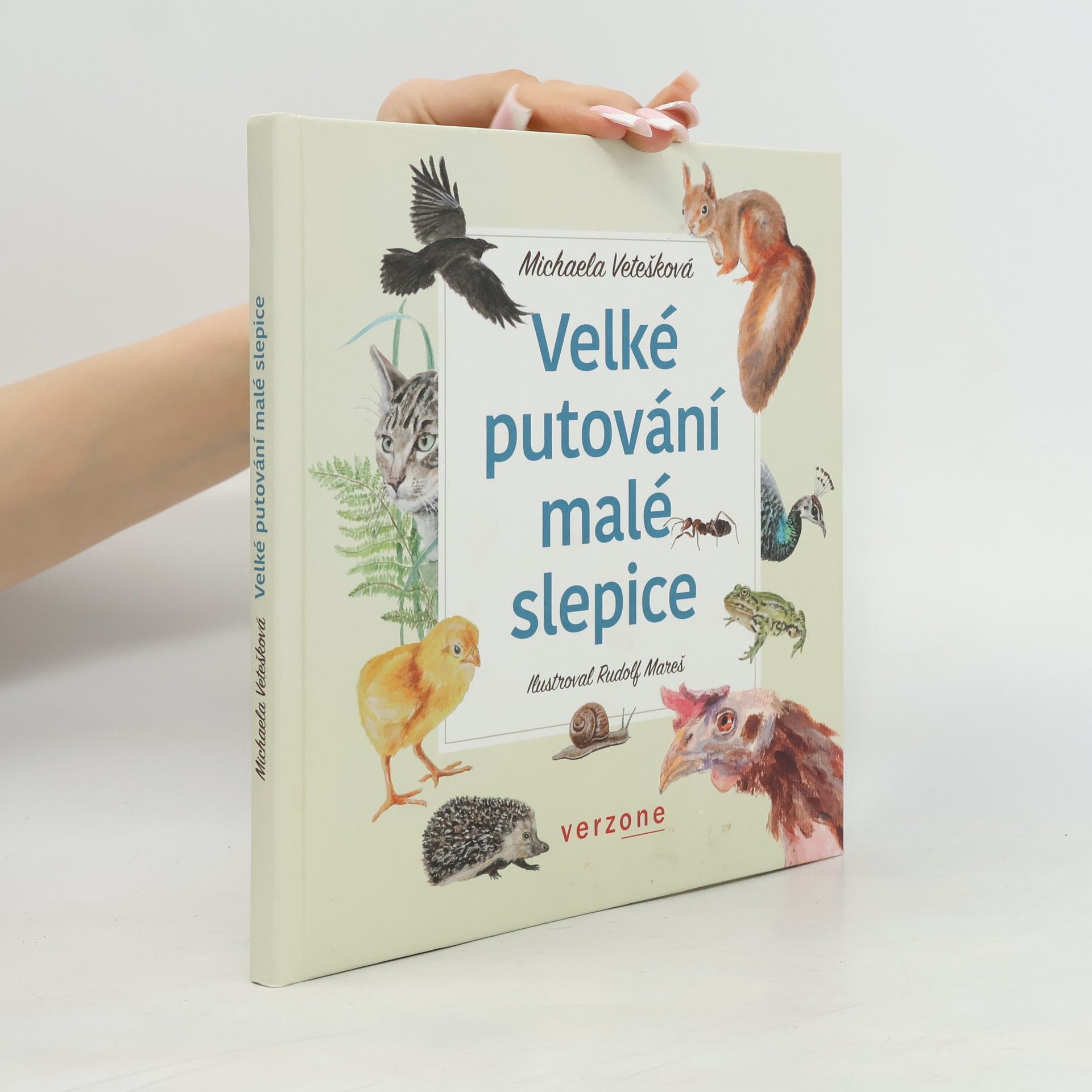 Michaela Vetešková Velké putování malé slepice