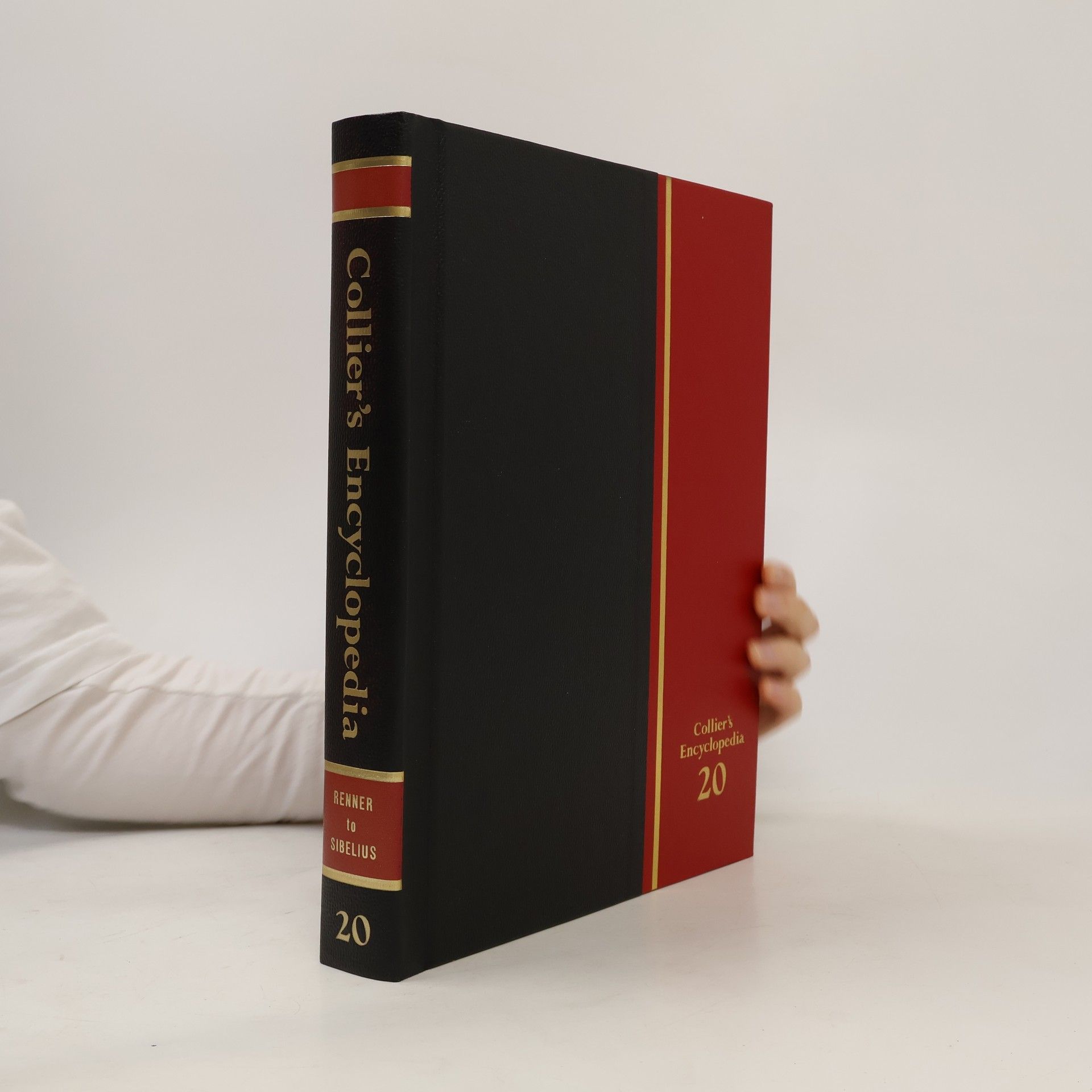 Kolektív autorov Collier' Encyclopedia 20